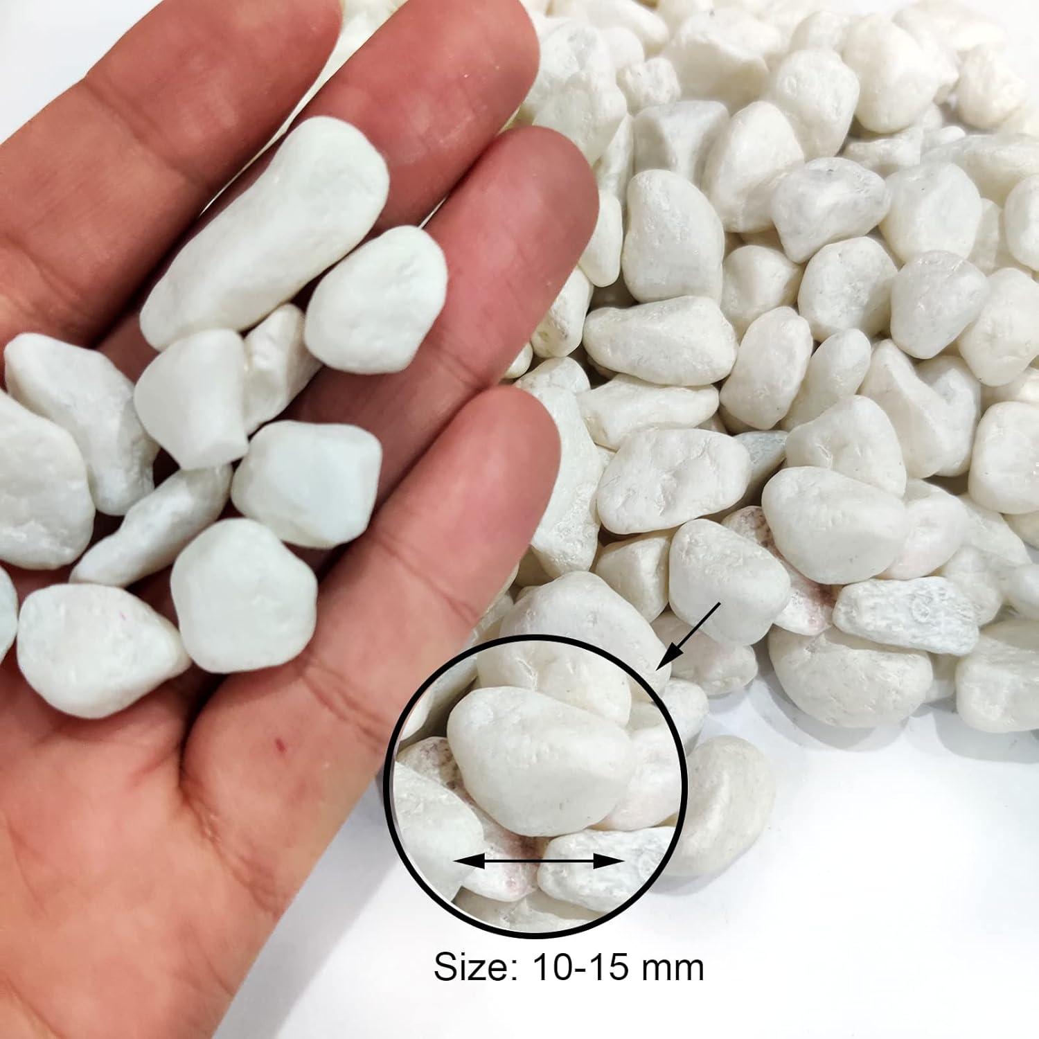 Gravillas Decorativas Blancas 1.12 kg para Terrarios y Jardines