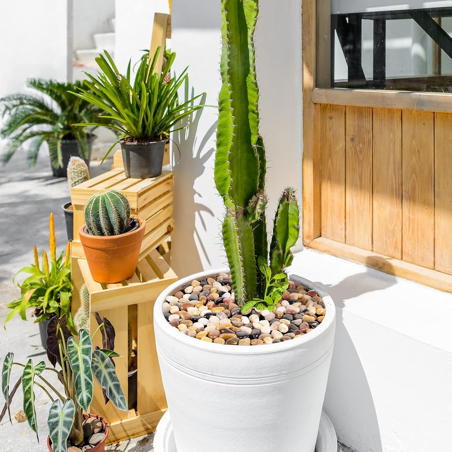 Rocas Decorativas Naturales GASPRO 6.78kg para Jardín 1-4.4cm