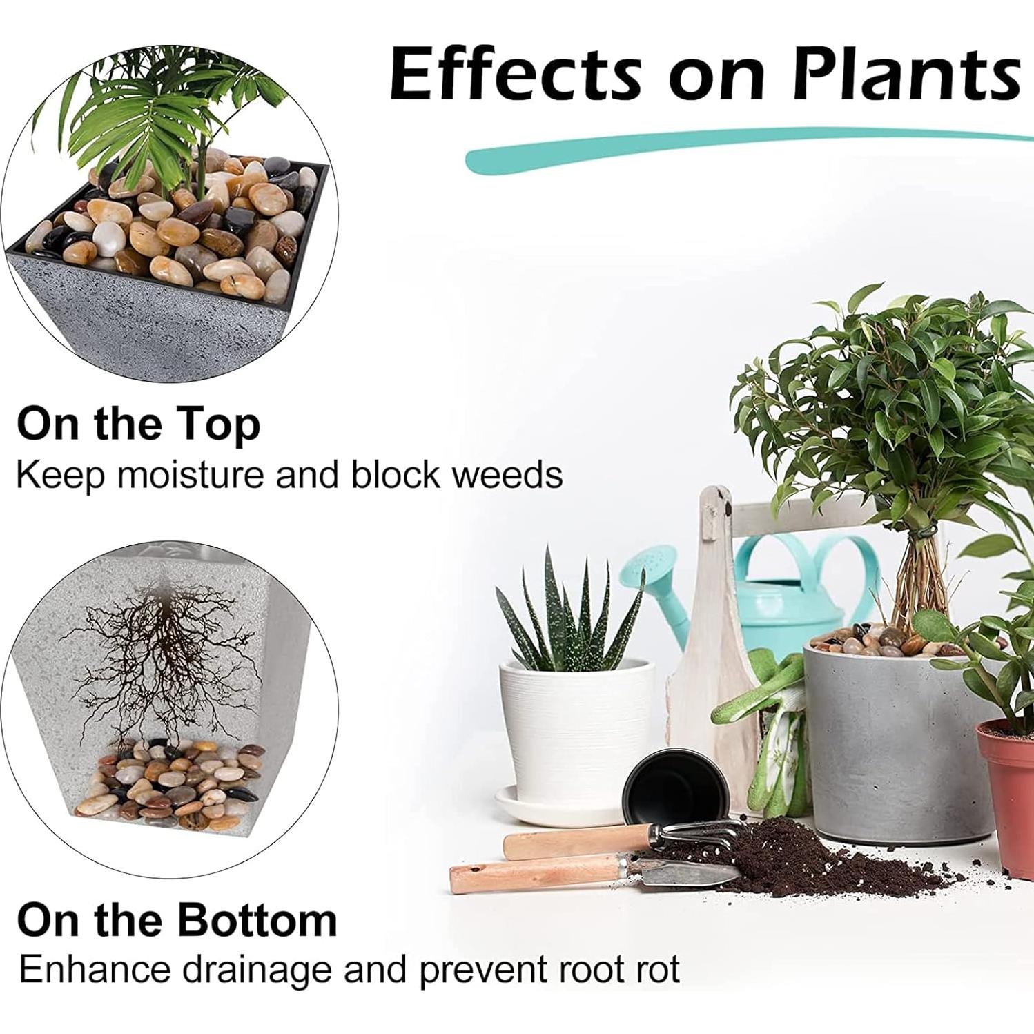 Rocas Decorativas Naturales GASPRO 6.78kg para Jardín 1-4.4cm