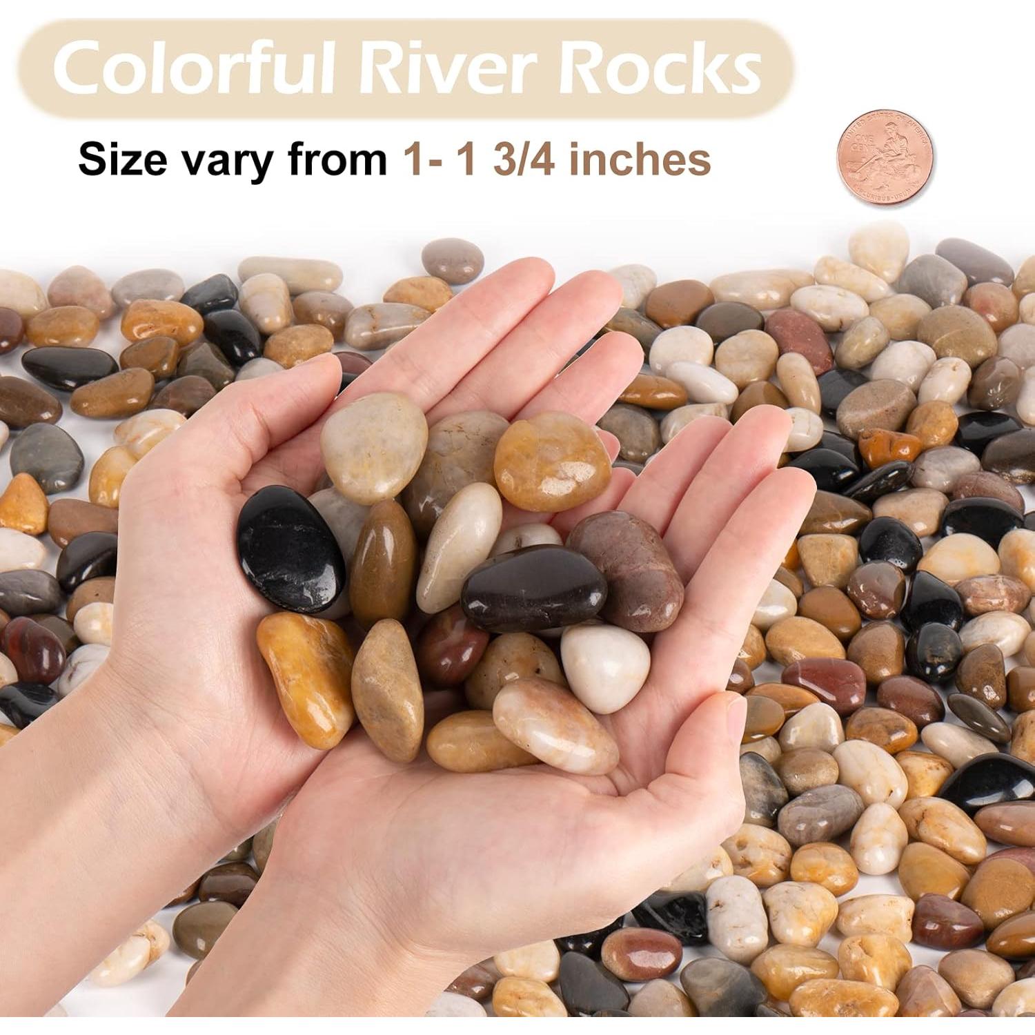 Rocas Decorativas Naturales GASPRO 6.78kg para Jardín 1-4.4cm
