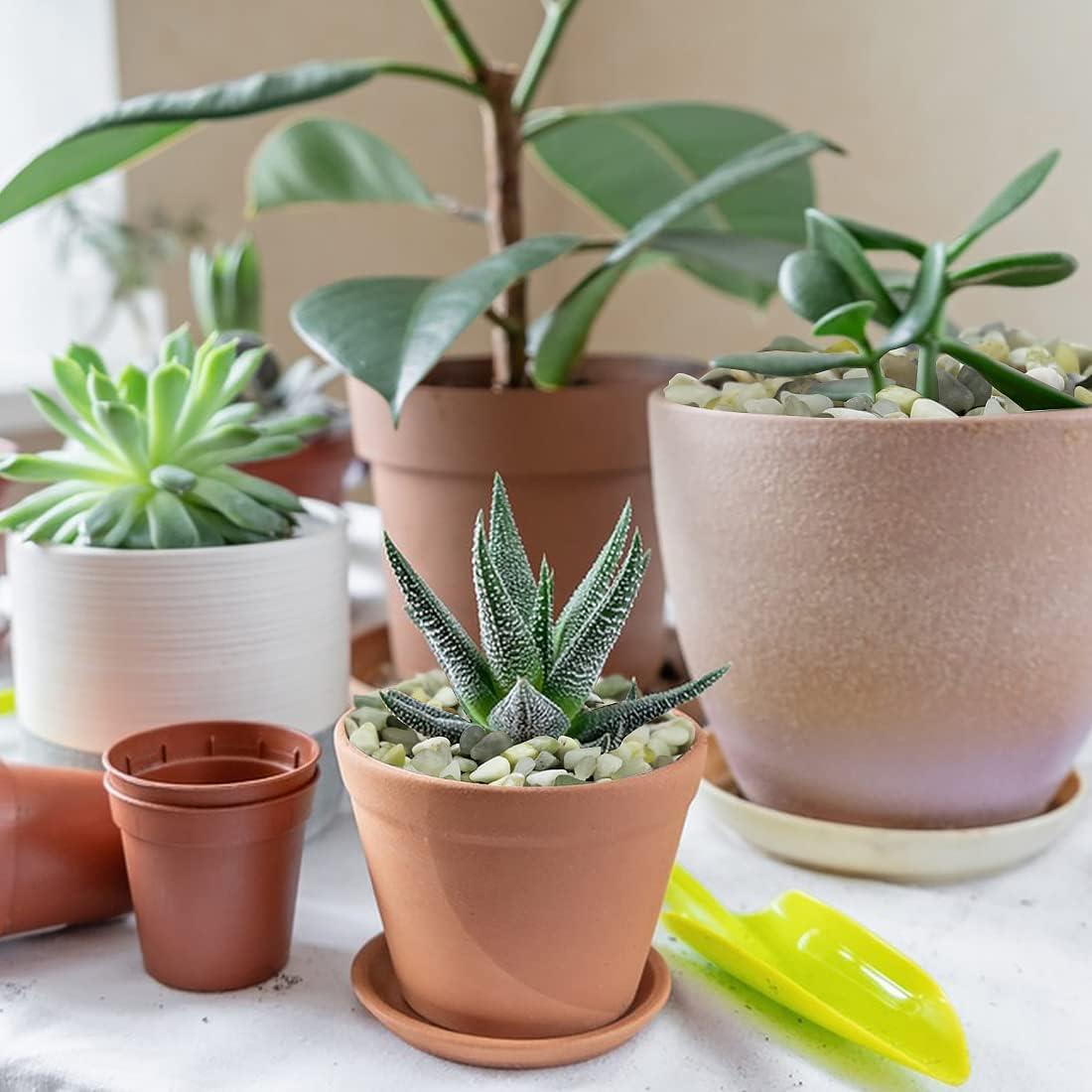 Piedras Pulidas Decorativas Jade Natural 0.91 kg para Jardinería