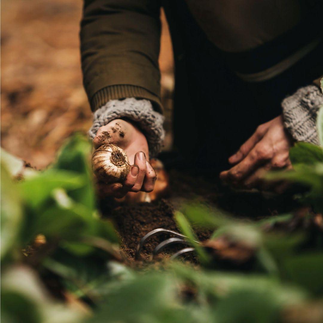 Rastrillo de Mano Fiskars Xact Acero Inoxidable 12cm Ergonómico