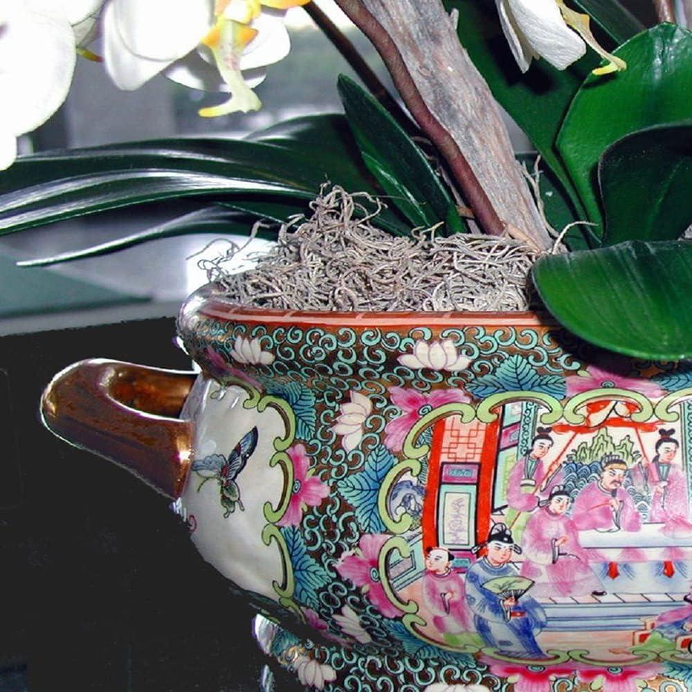 Musgo Español Mosser Lee ML0560 250 cm³ Natural Decorativo