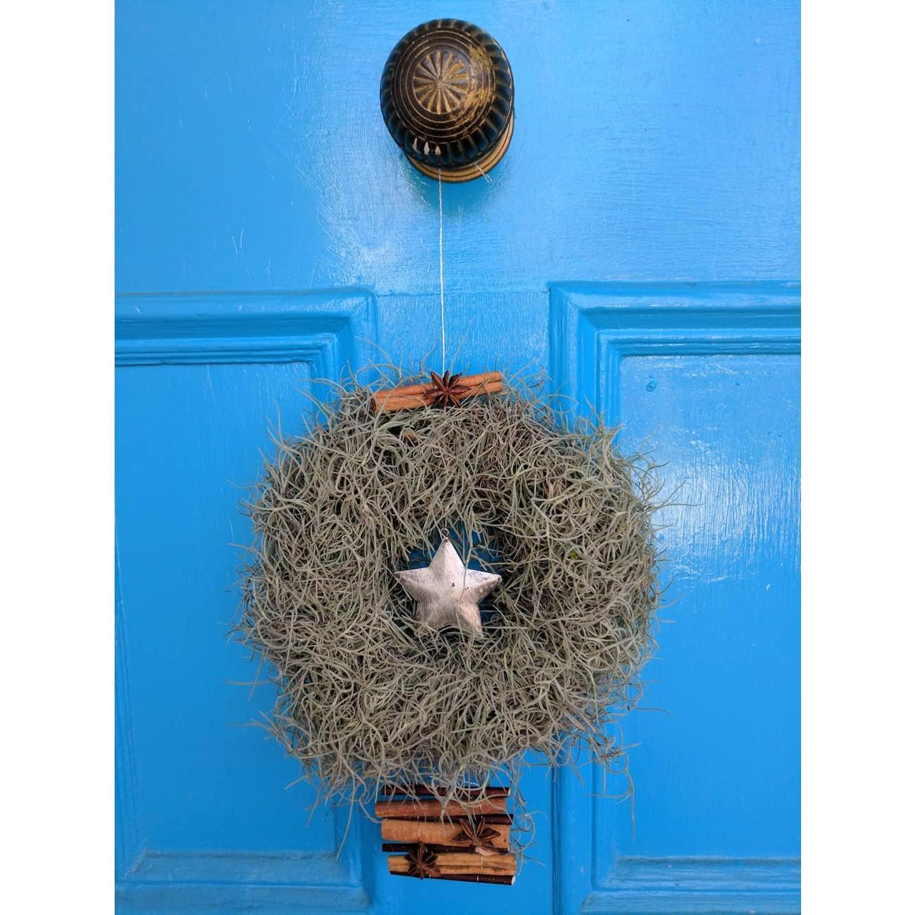 Musgo Español Mosser Lee ML0560 250 cm³ Natural Decorativo