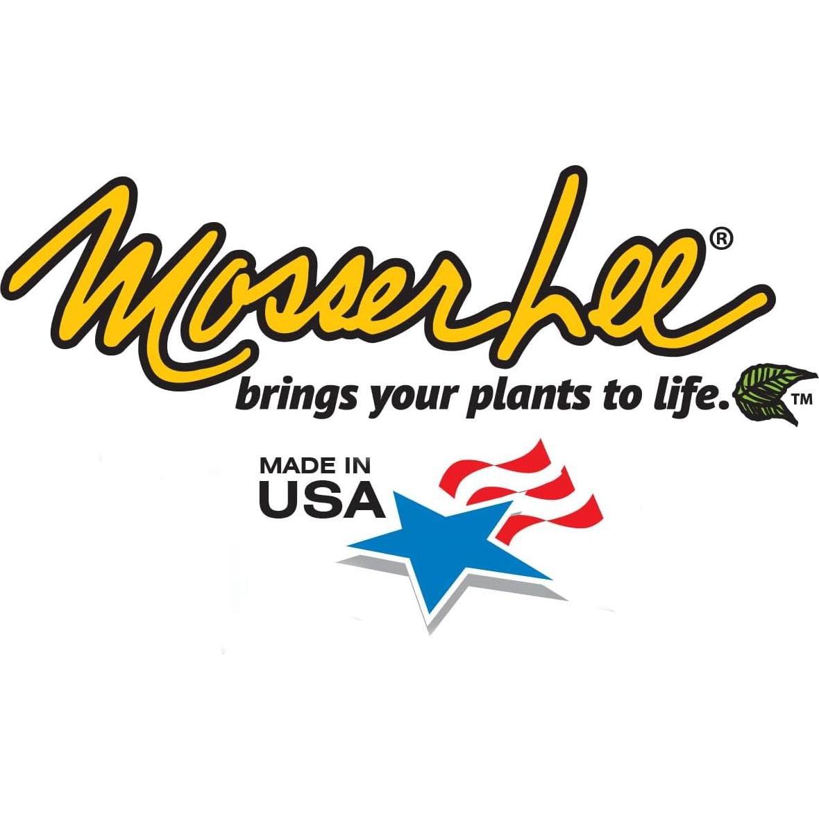 Musgo Español Mosser Lee ML0560 250 cm³ Natural Decorativo