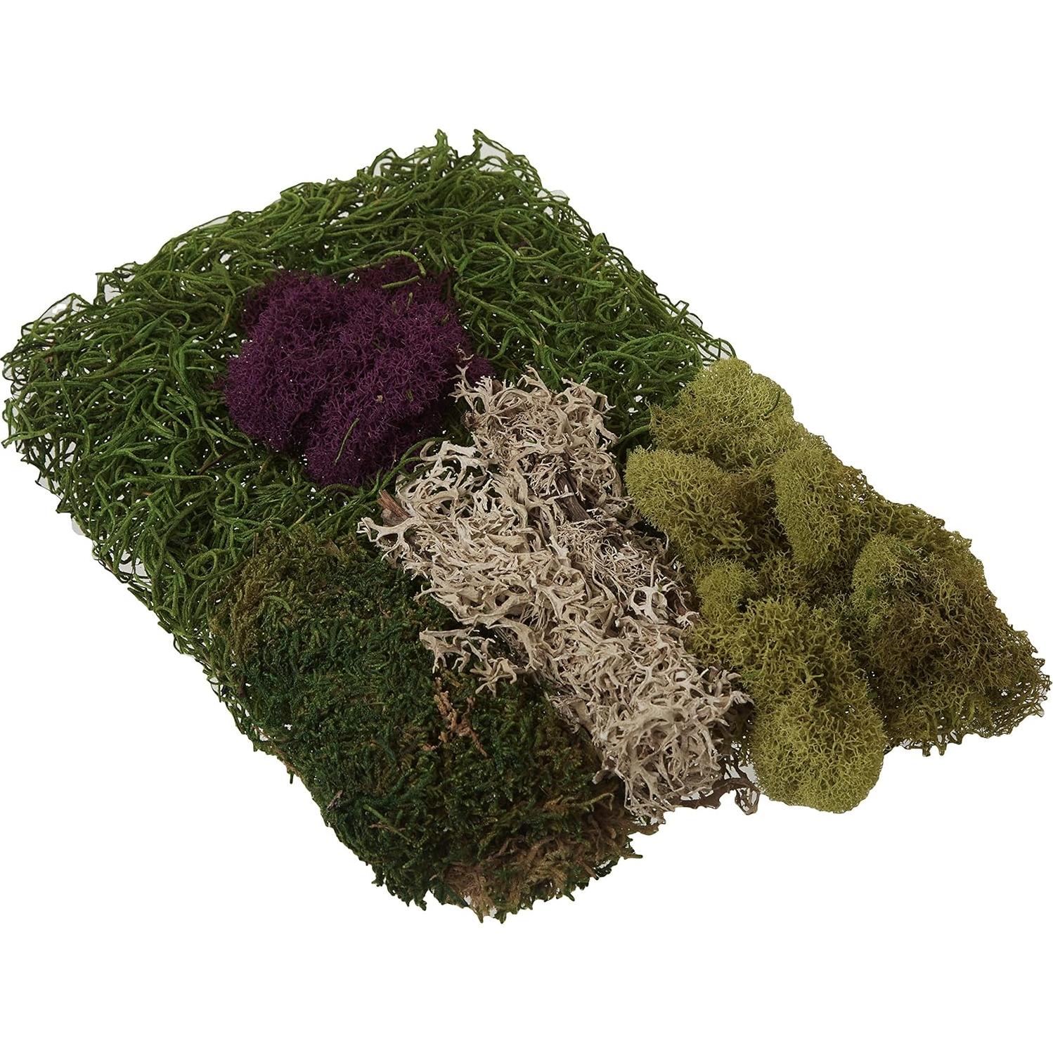 Mezcla de Musgo SuperMoss - Bolsa 110 cm³ (56.7 g) Decorativa