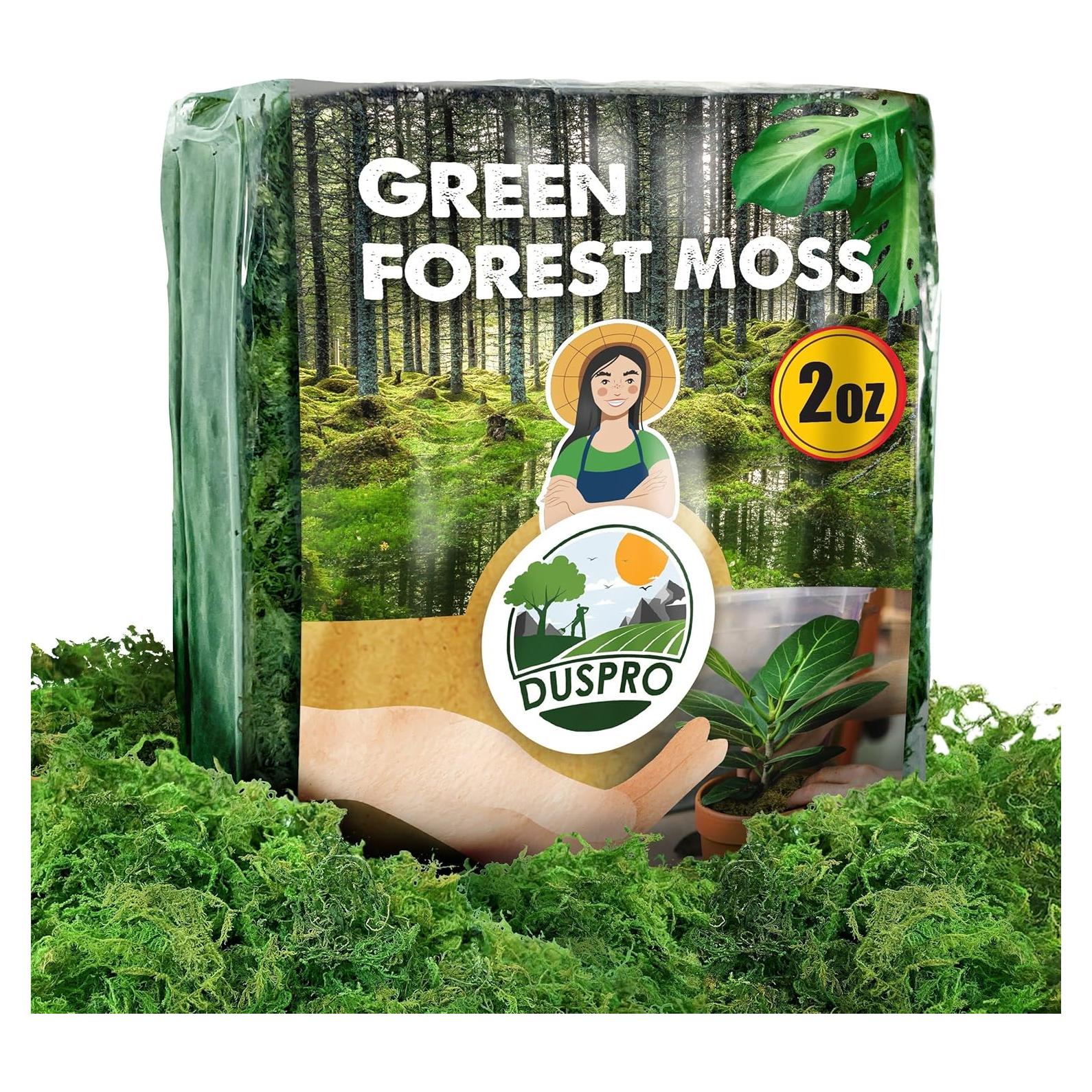 Relleno de Musgo Verde Natural Duspro 56g para Manualidades