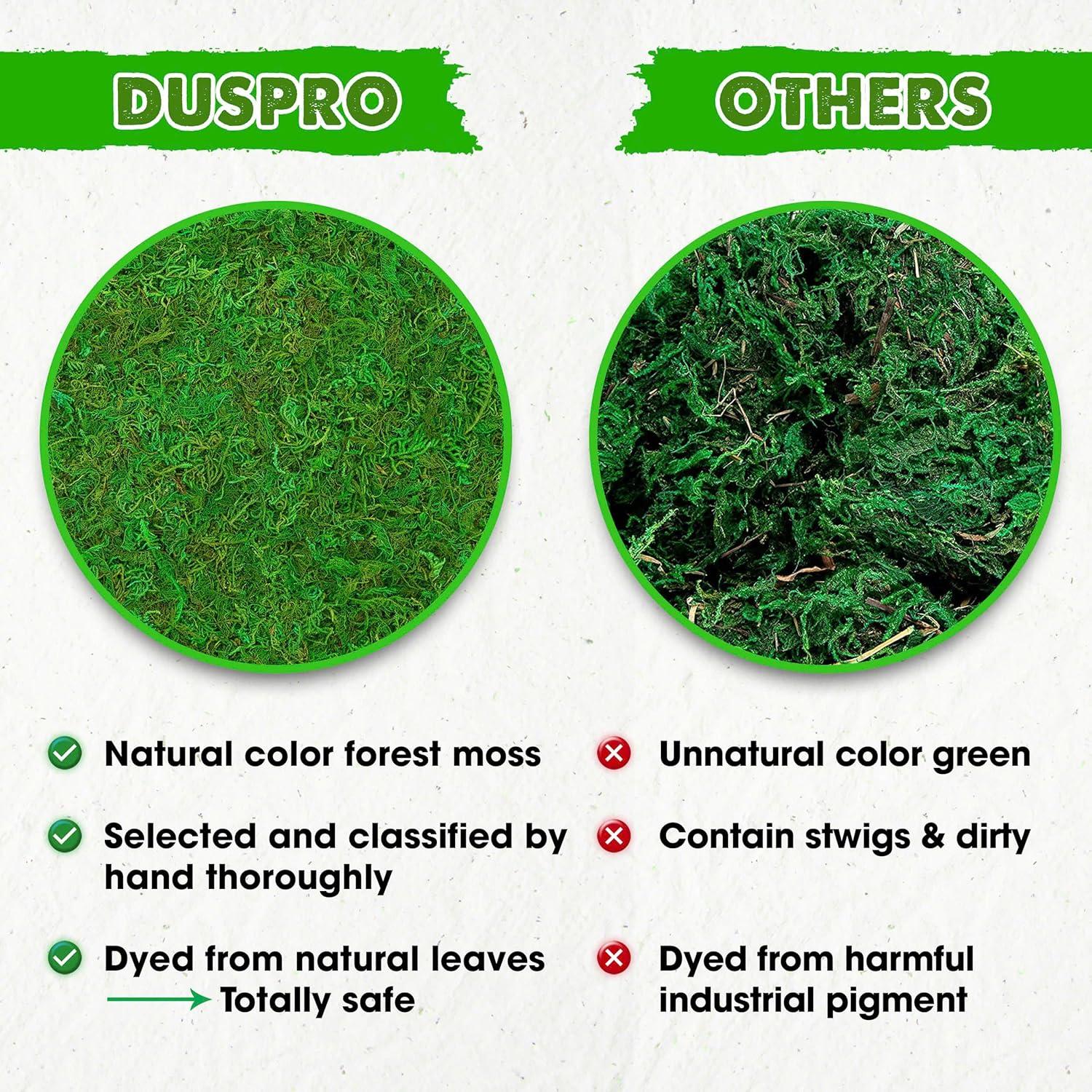 Relleno de Musgo Verde Natural Duspro 56g para Manualidades
