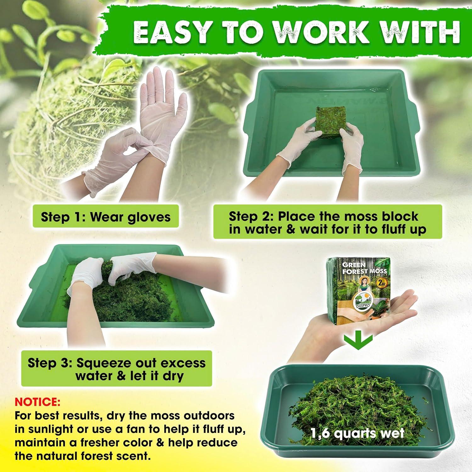 Relleno de Musgo Verde Natural Duspro 56g para Manualidades