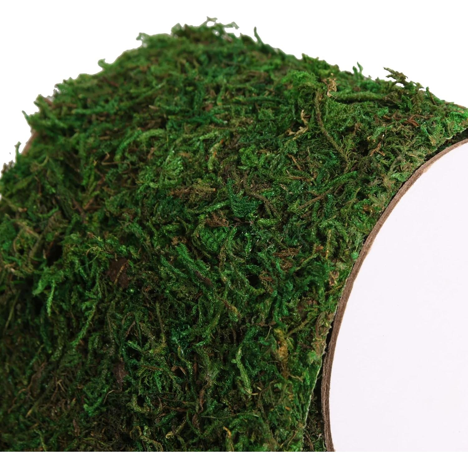 Moss Roll USMOLA 30 cm x 152 cm Musgo Seco para Manualidades