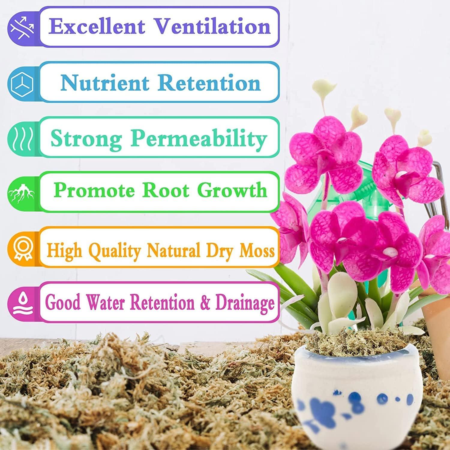 Musgo Sphagnum Premium Legigo 4 QT - Medio para Plantas