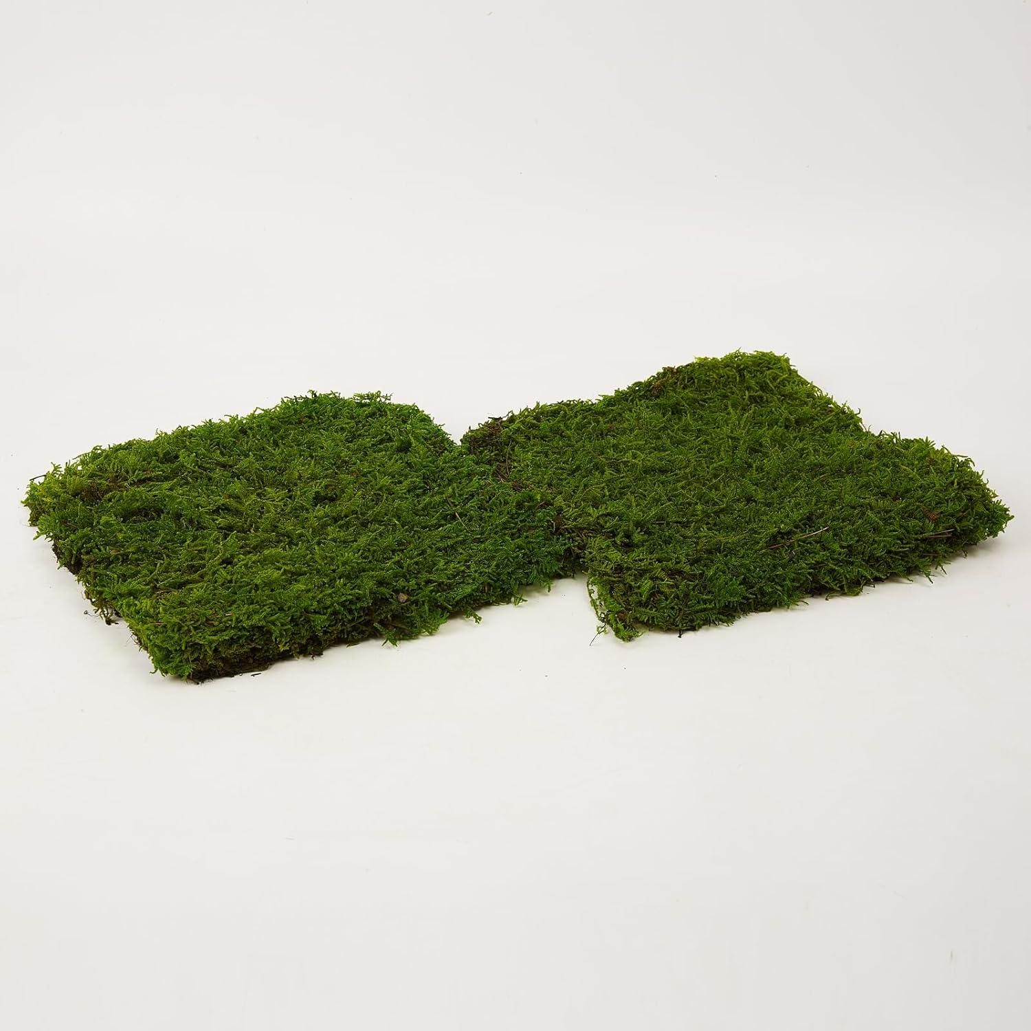 Musgo Preservado Verde Natural SZYD 2 Pies Cuadrados Decorativo