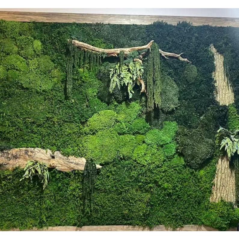 Musgo Preservado Verde Natural SZYD 2 Pies Cuadrados Decorativo