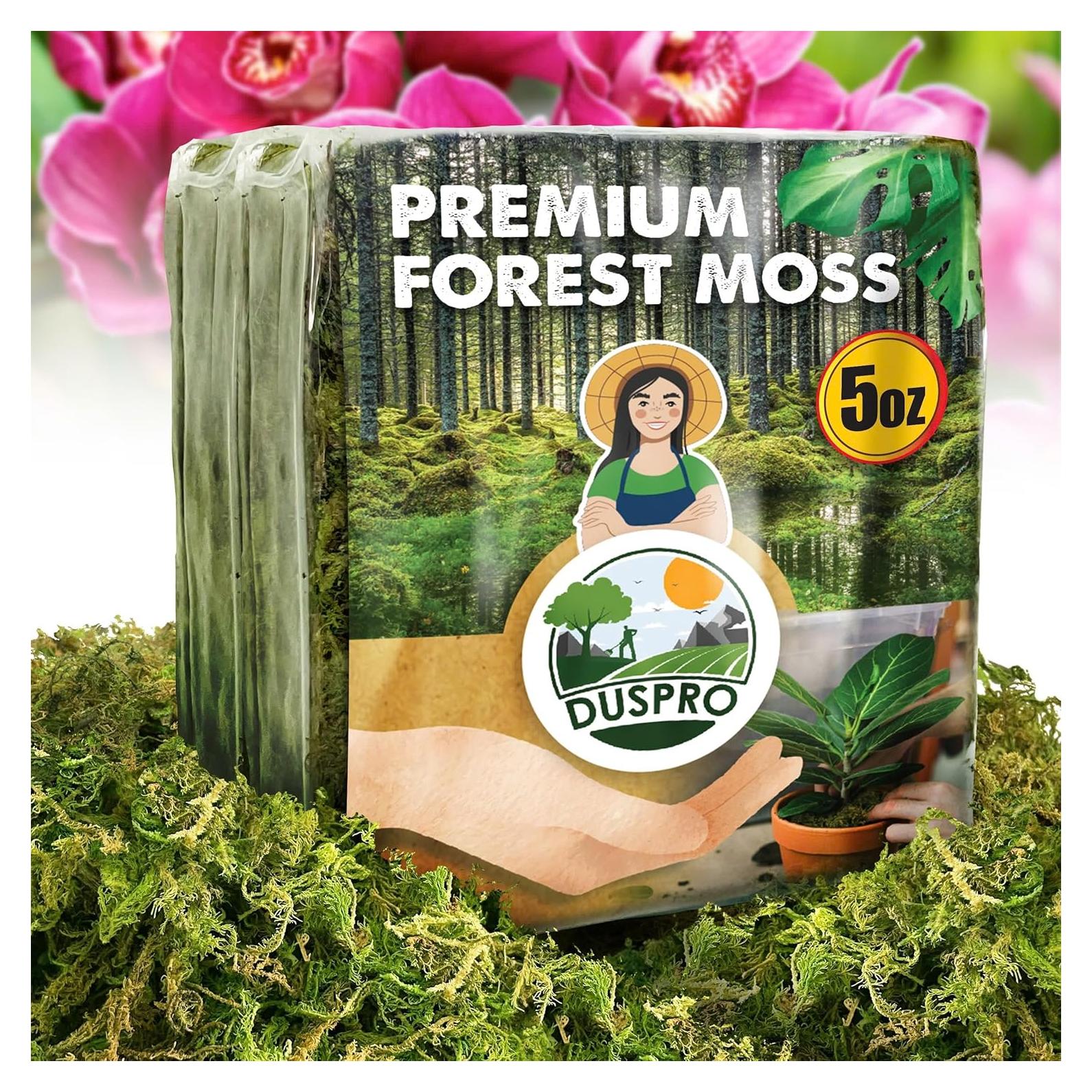 Musgo Seco Natural DUSPRO para Plantas - 140g Sphagnum