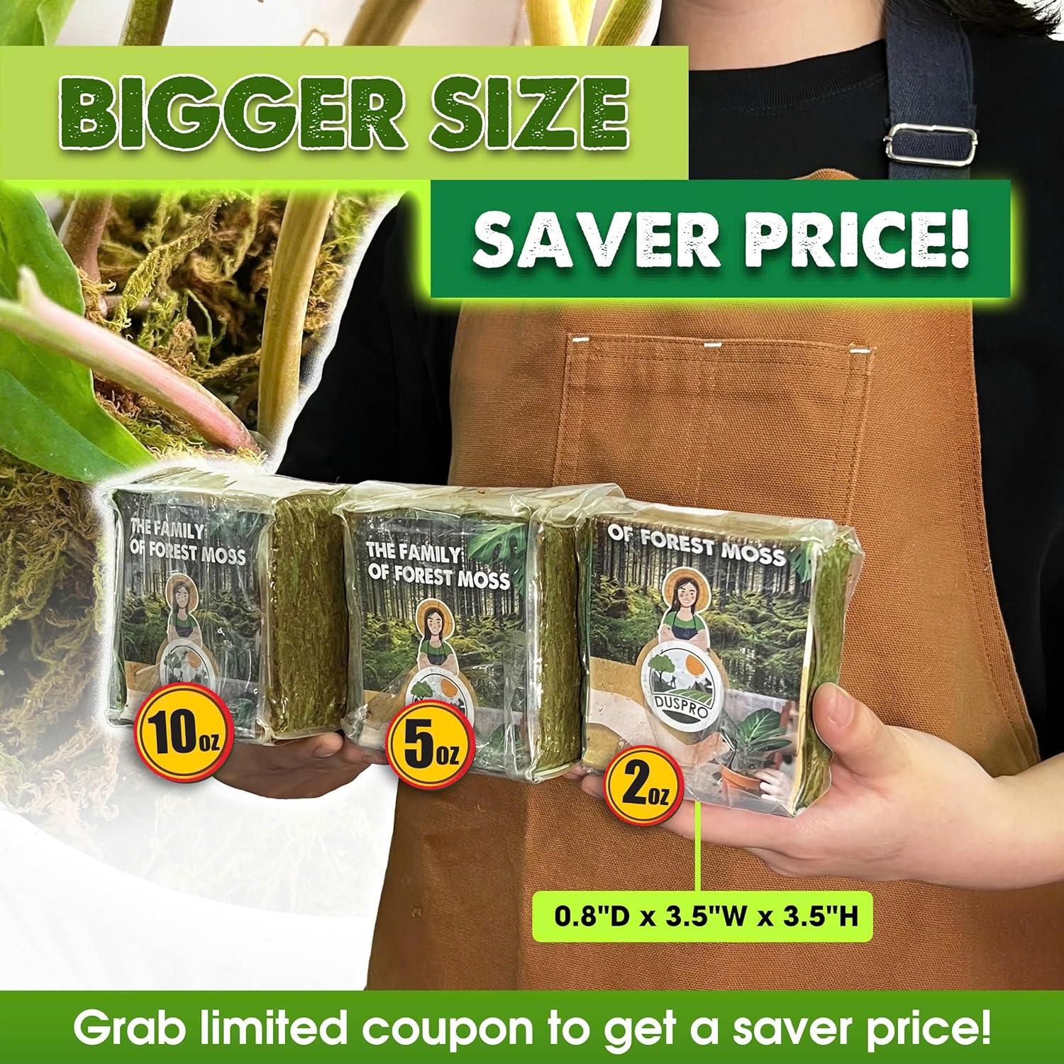 Musgo Seco Natural DUSPRO para Plantas - 140g Sphagnum