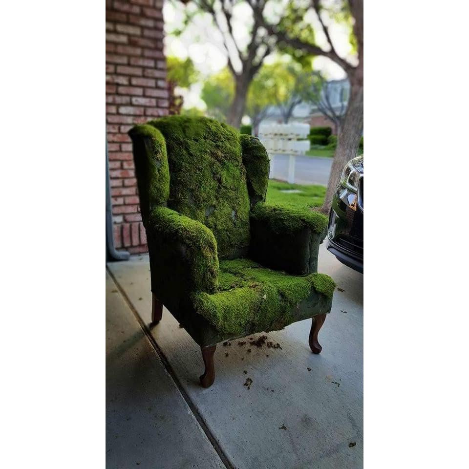 Musgo en Hoja Seco Natural 227g SuperMoss para Decoración