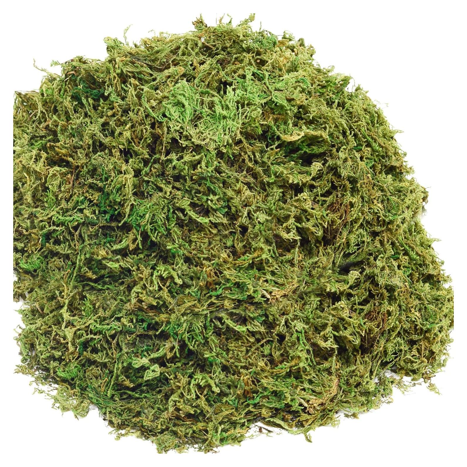 Musgo Artificial ZYAPA 283g Verde para Decoración de Jardín