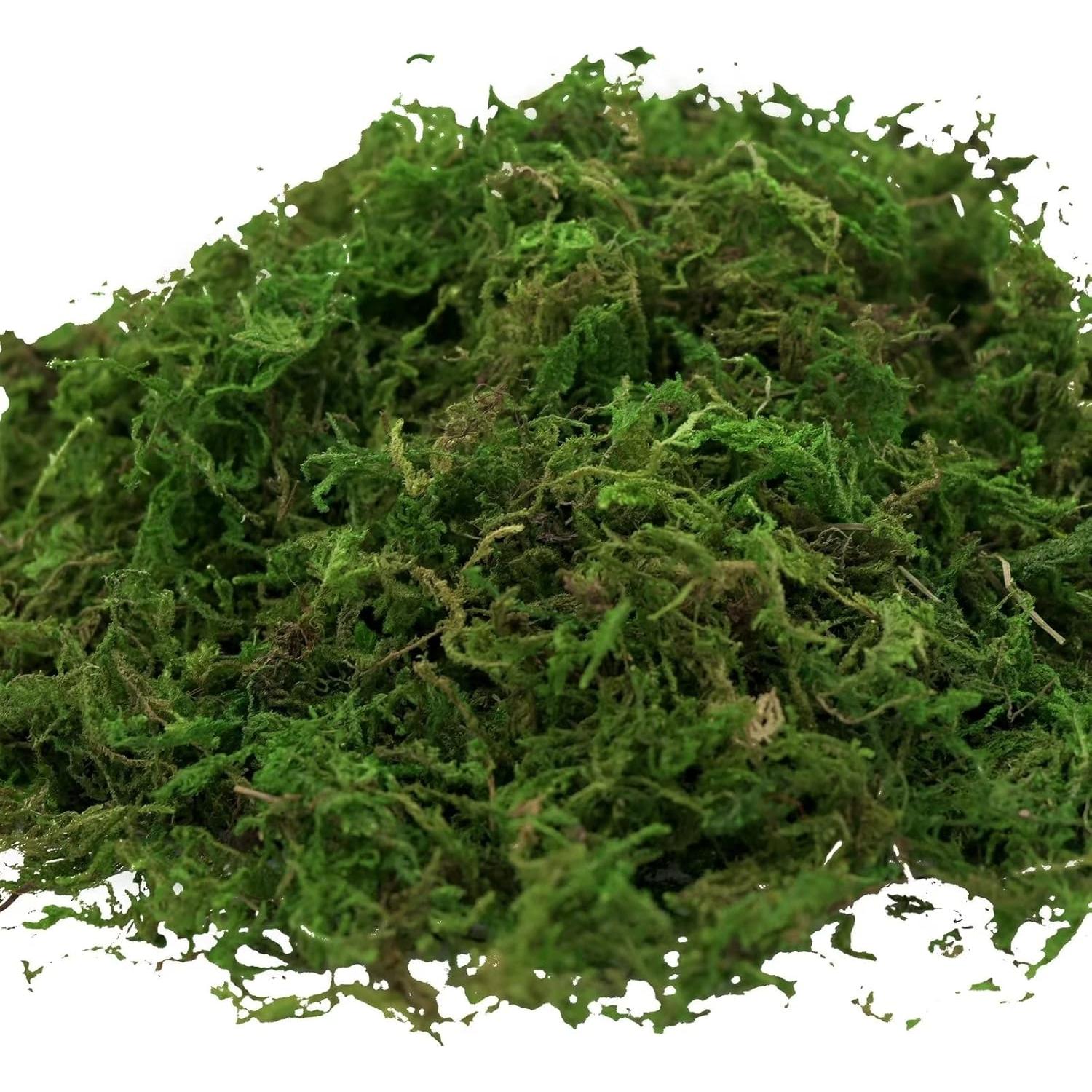 Musgo Falso Usmola Verde Fresco 113.4g para Decoración