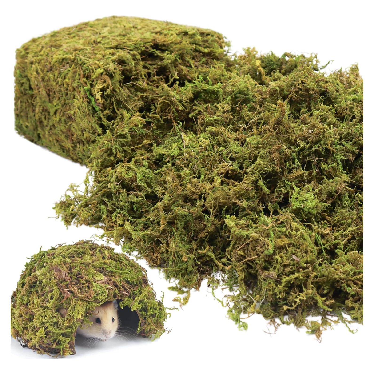 Lecho Natural de Musgo Riare 25QT para Hámster y Reptiles