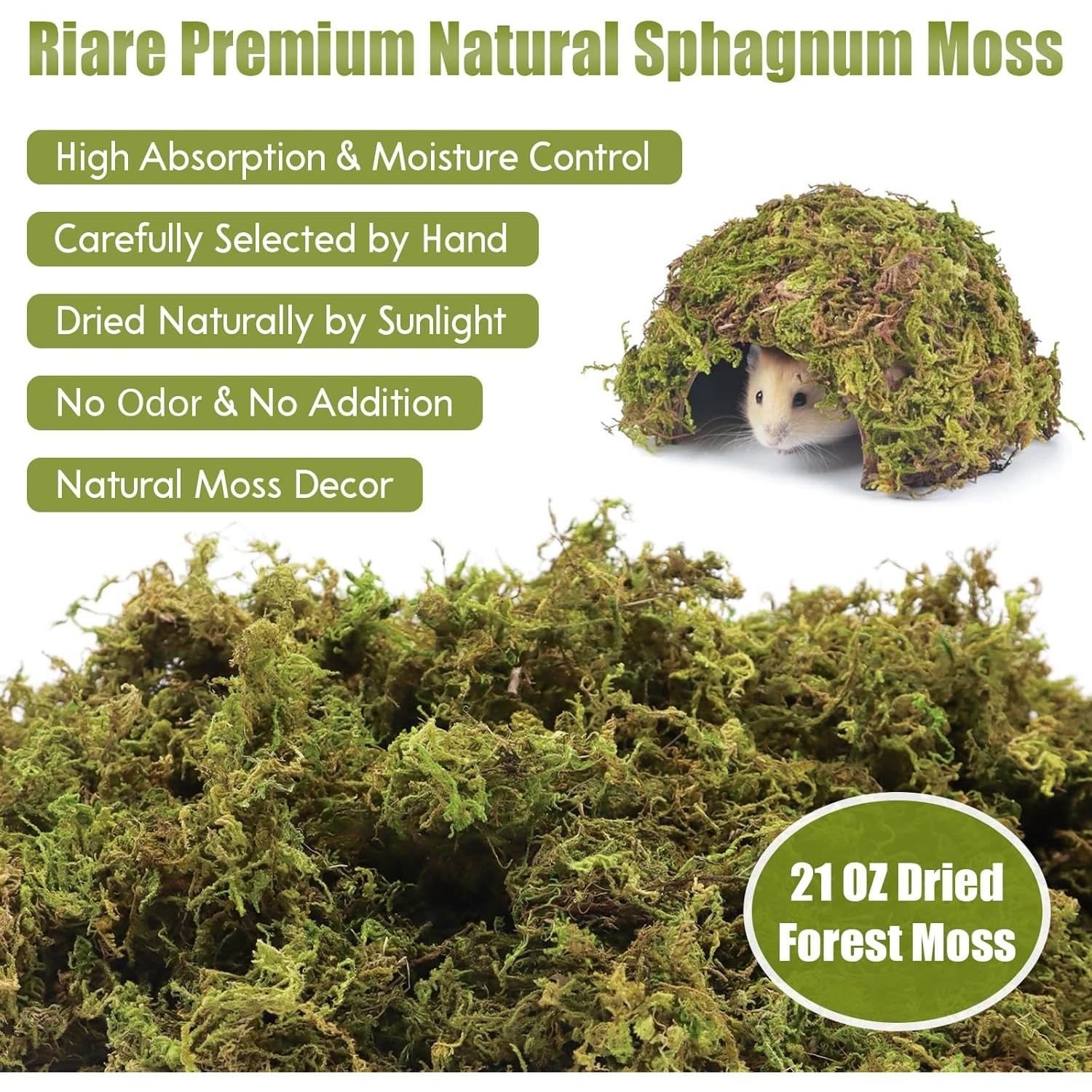 Lecho Natural de Musgo Riare 25QT para Hámster y Reptiles