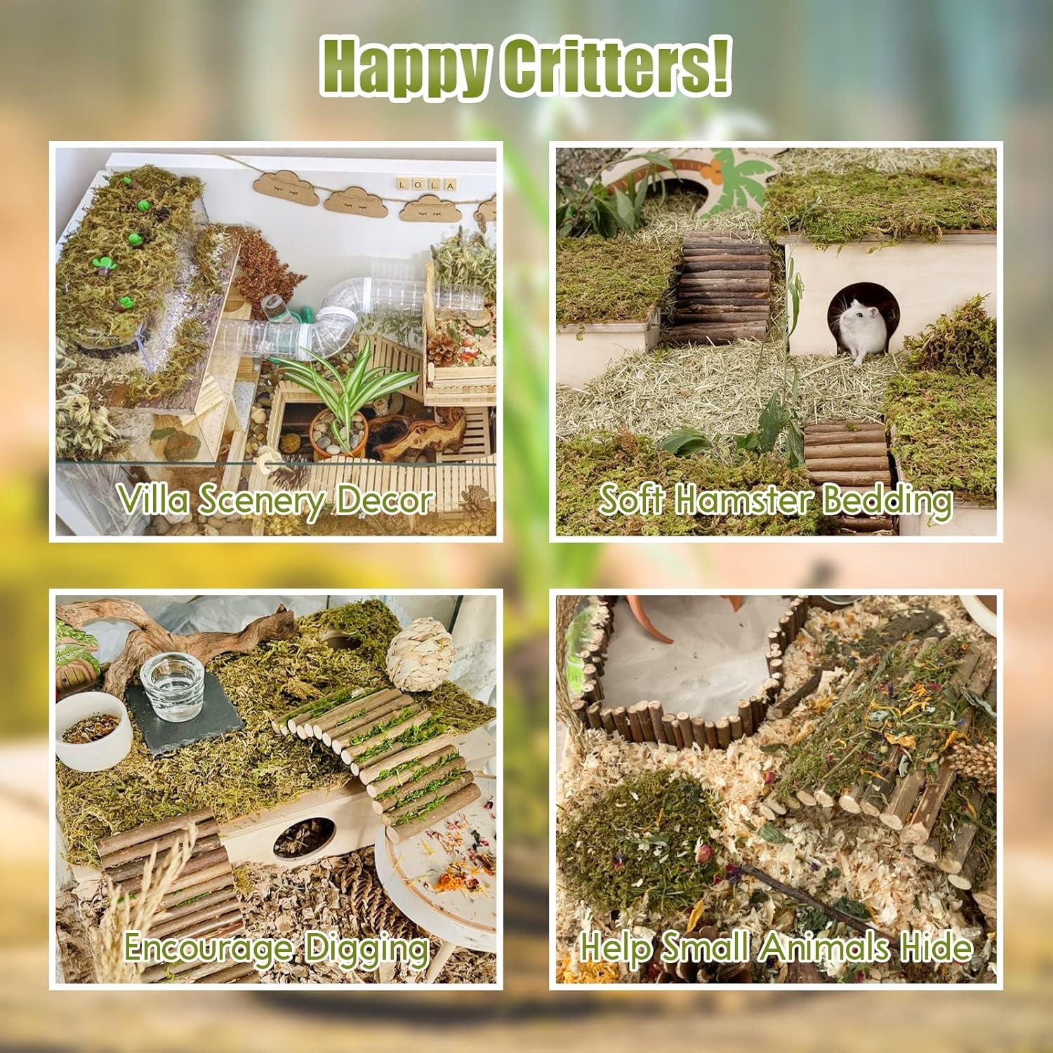 Lecho Natural de Musgo Riare 25QT para Hámster y Reptiles