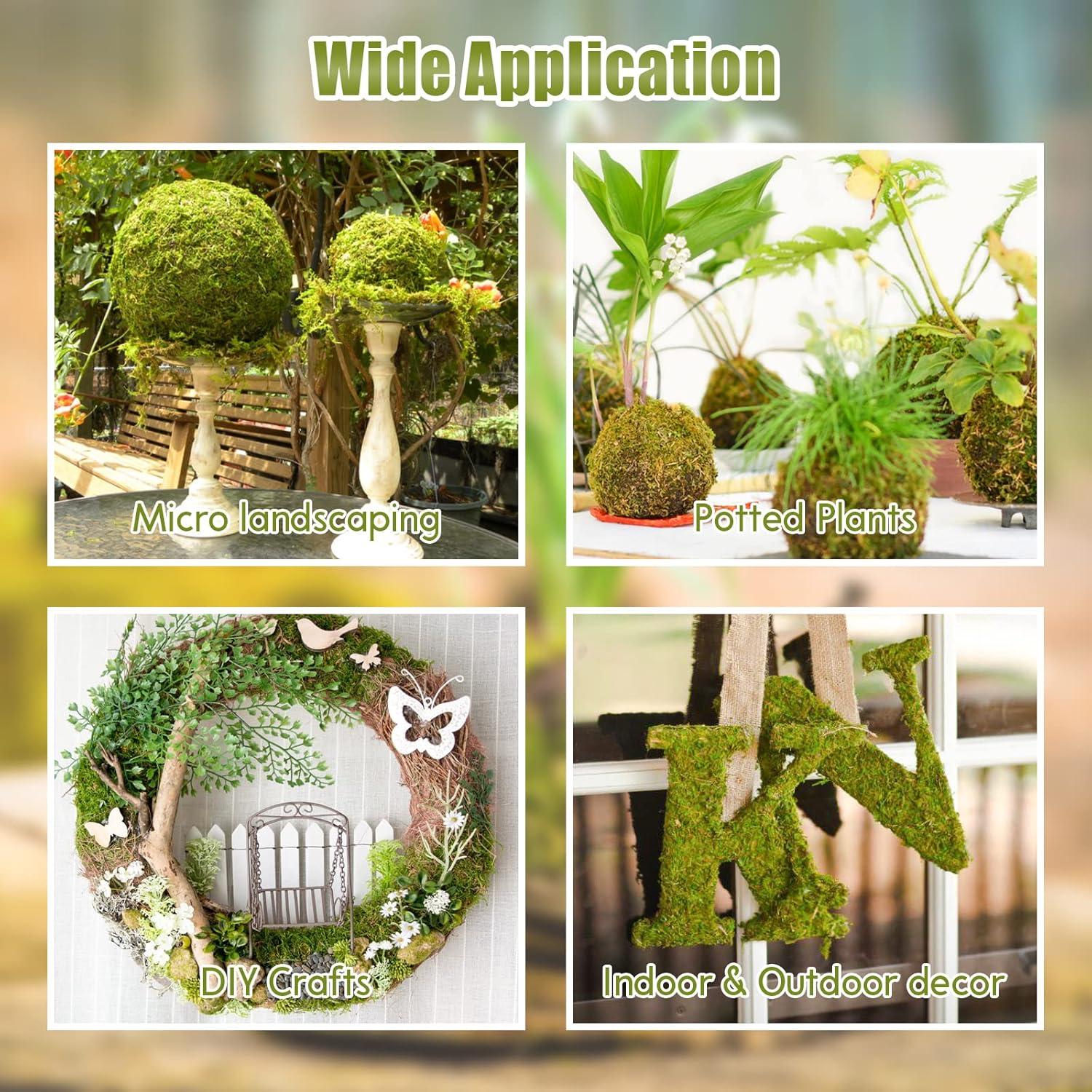 Lecho Natural de Musgo Riare 25QT para Hámster y Reptiles