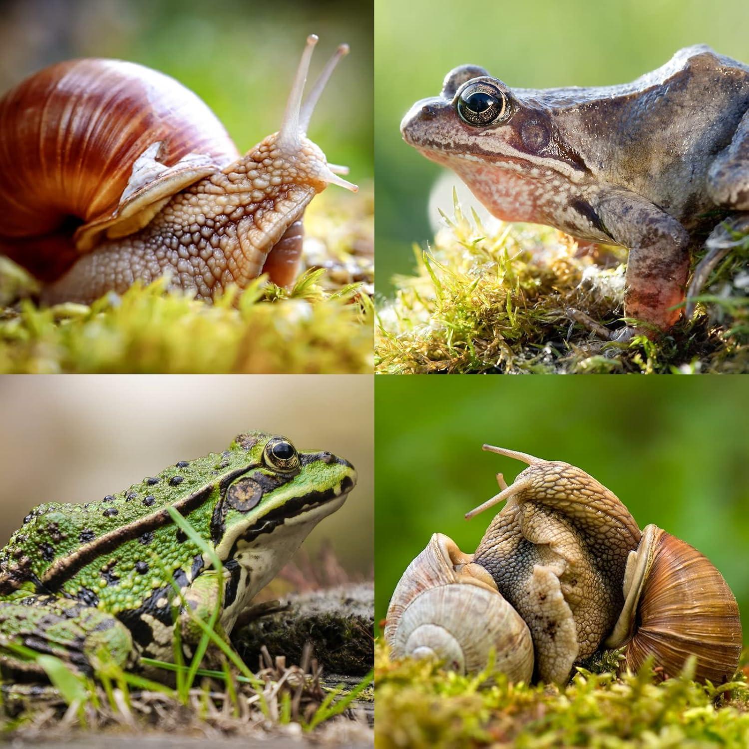 Lecho Natural de Musgo Riare 25QT para Hámster y Reptiles