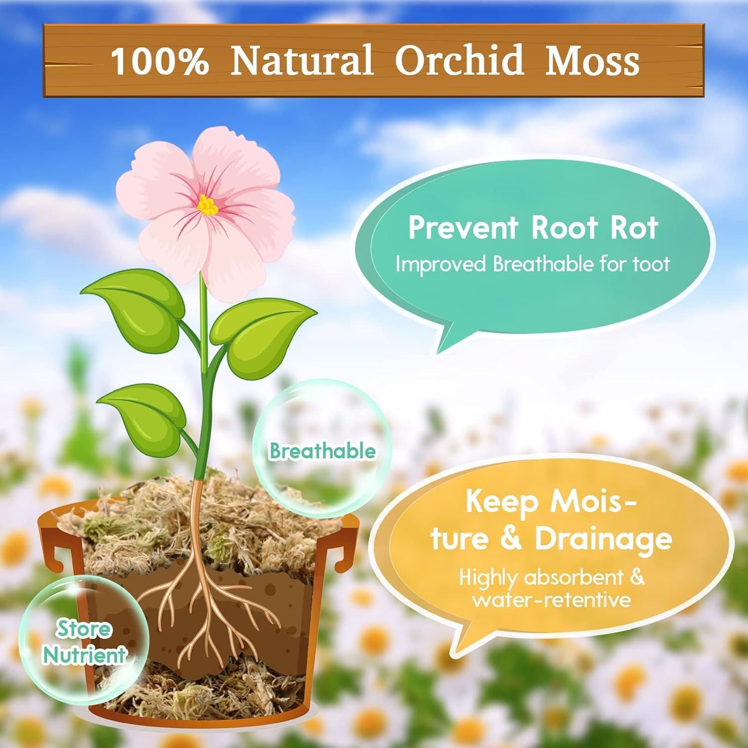 Musgo Sphagnum Premium Riare 1.0 kg para Plantas Carnívoras