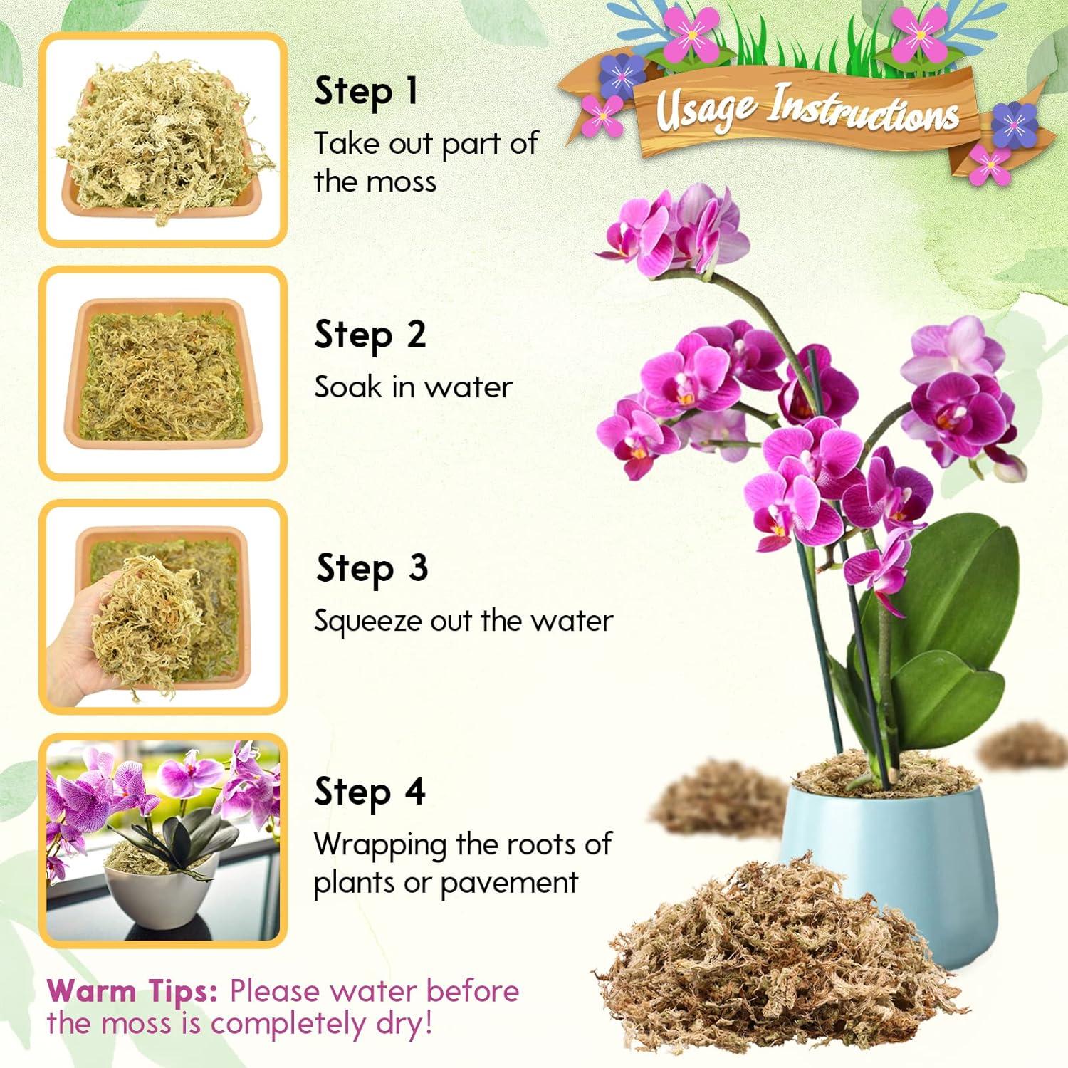 Musgo Sphagnum Premium Riare 1.0 kg para Plantas Carnívoras