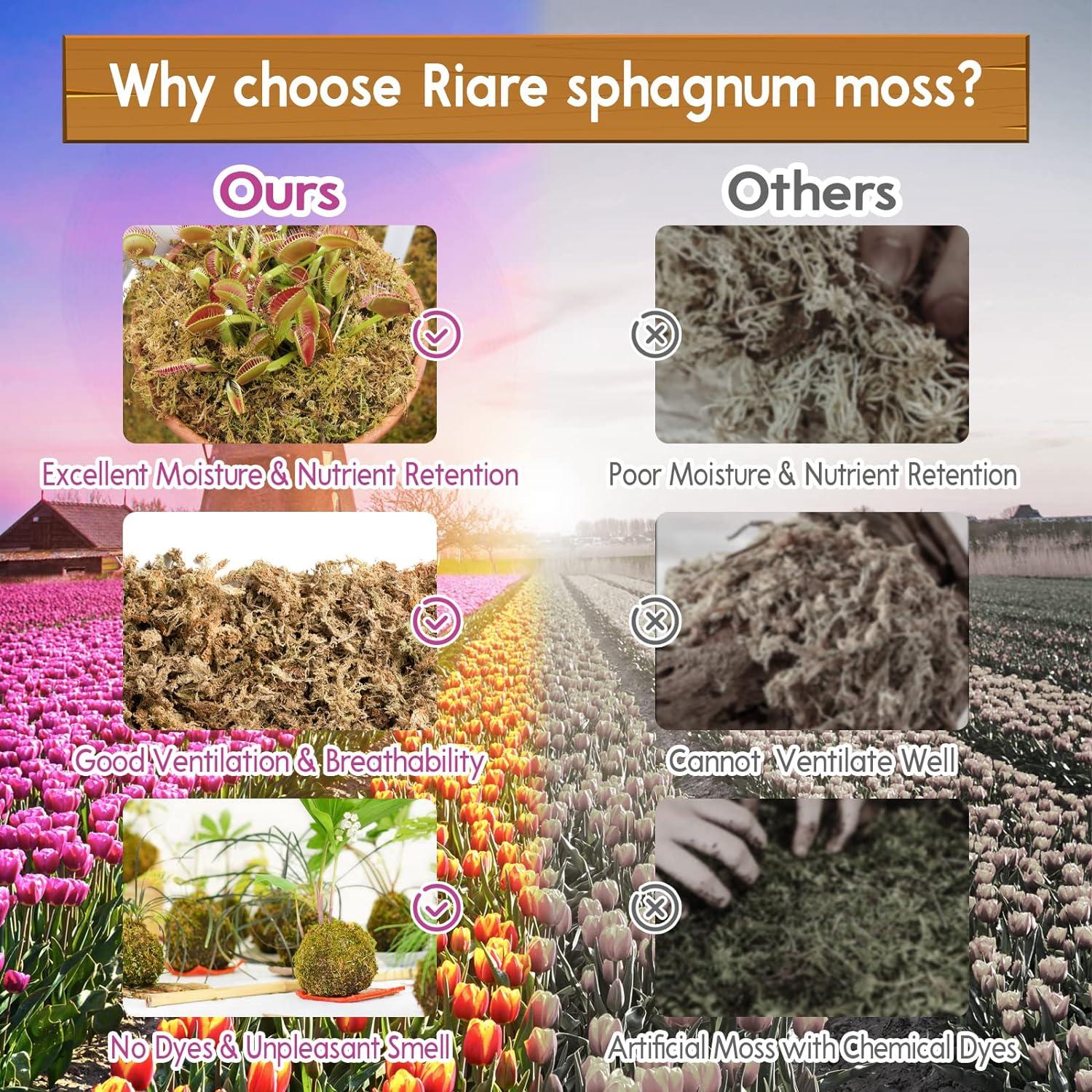 Musgo Sphagnum Premium Riare 1.0 kg para Plantas Carnívoras