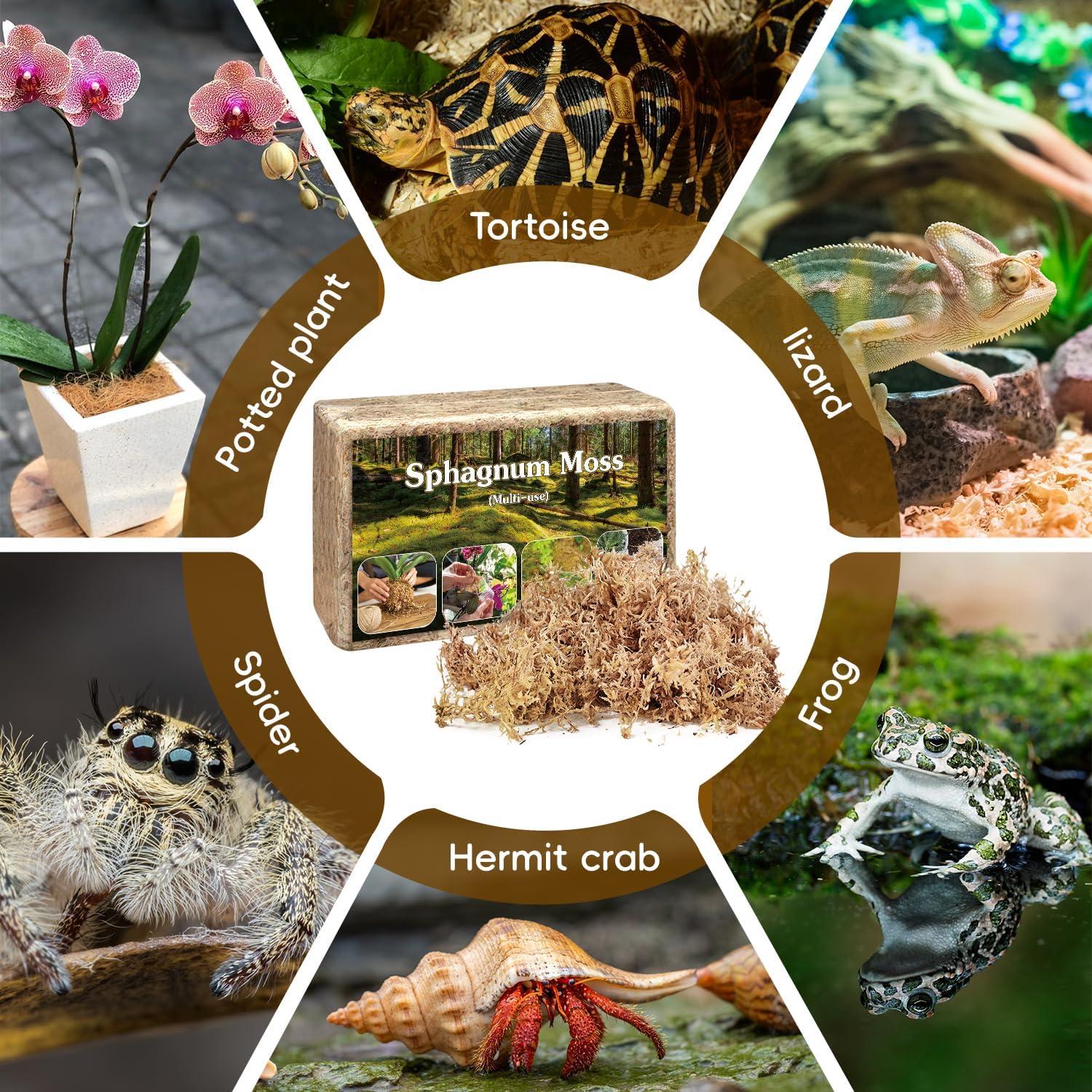 Musgo Sphagnum Natural Stroller 4 QT para Jardinería