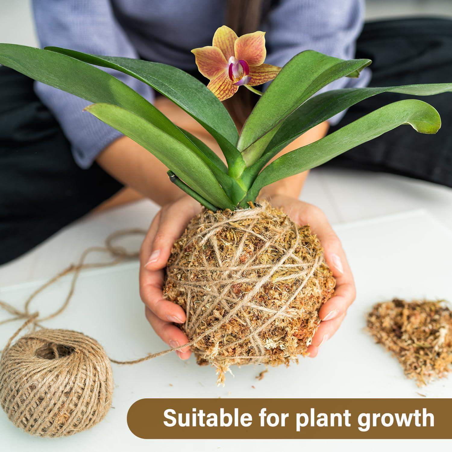 Musgo Sphagnum Natural Stroller 4 QT para Jardinería