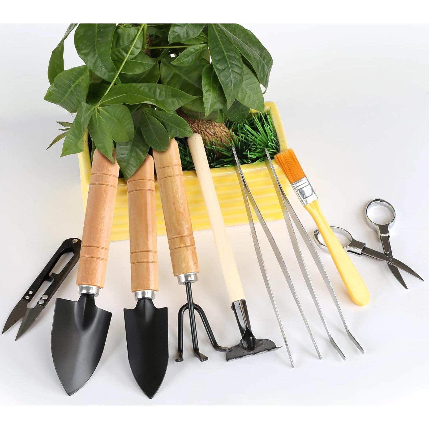 Juego de Herramientas de Bonsái LIHAO 9 Piezas Esenciales