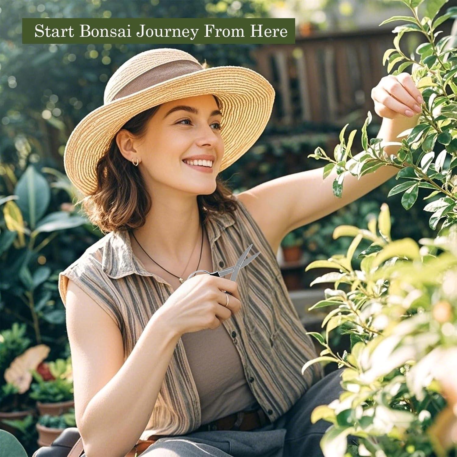 Juego de Herramientas de Bonsái LIHAO 9 Piezas Esenciales