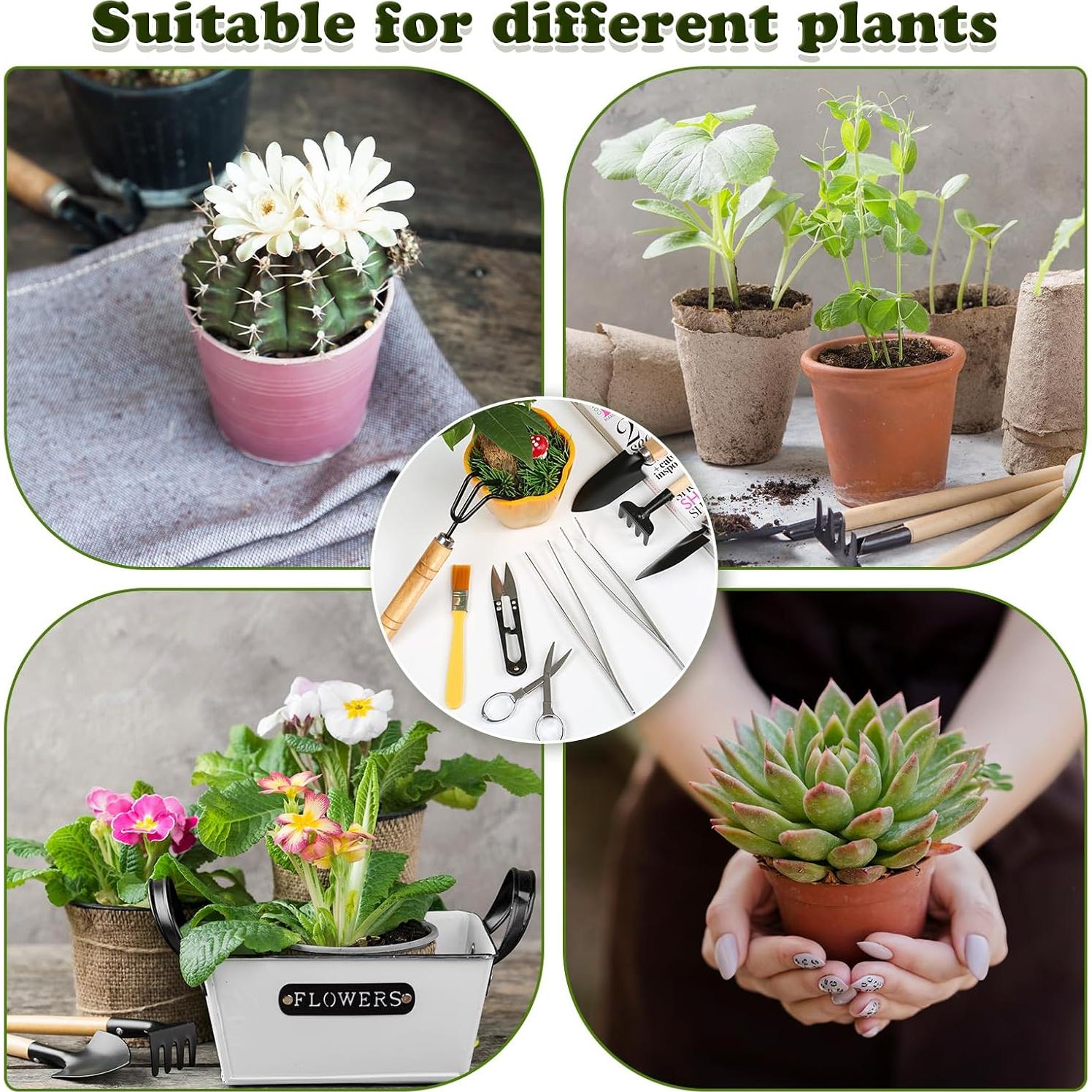 Juego de Herramientas de Bonsái LIHAO 9 Piezas Esenciales