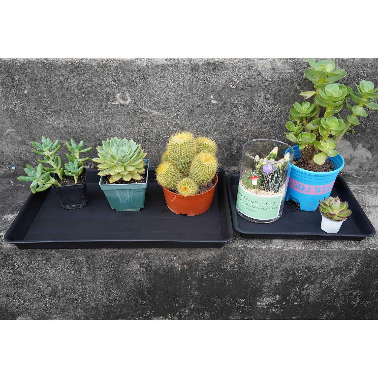 Bandeja de Cultivo VUWEZ 35.56x27.94cm para Plantas