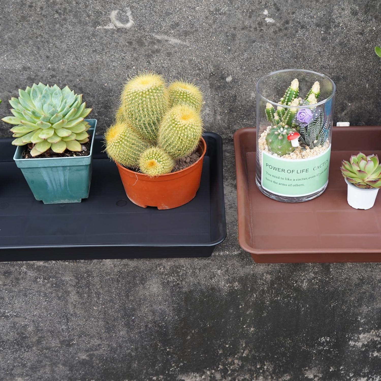 Bandeja de Cultivo VUWEZ 35.56x27.94cm para Plantas