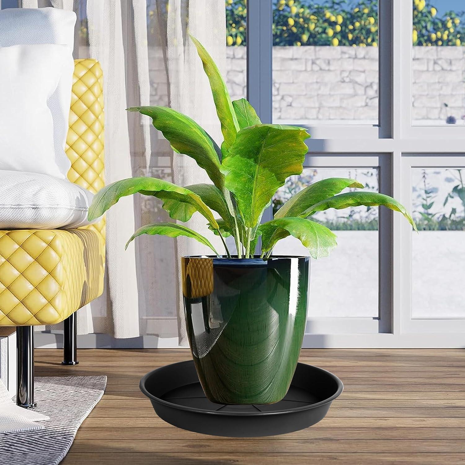 Paquete de 6 bandejas de goteo OVZILKI 10 cm negras