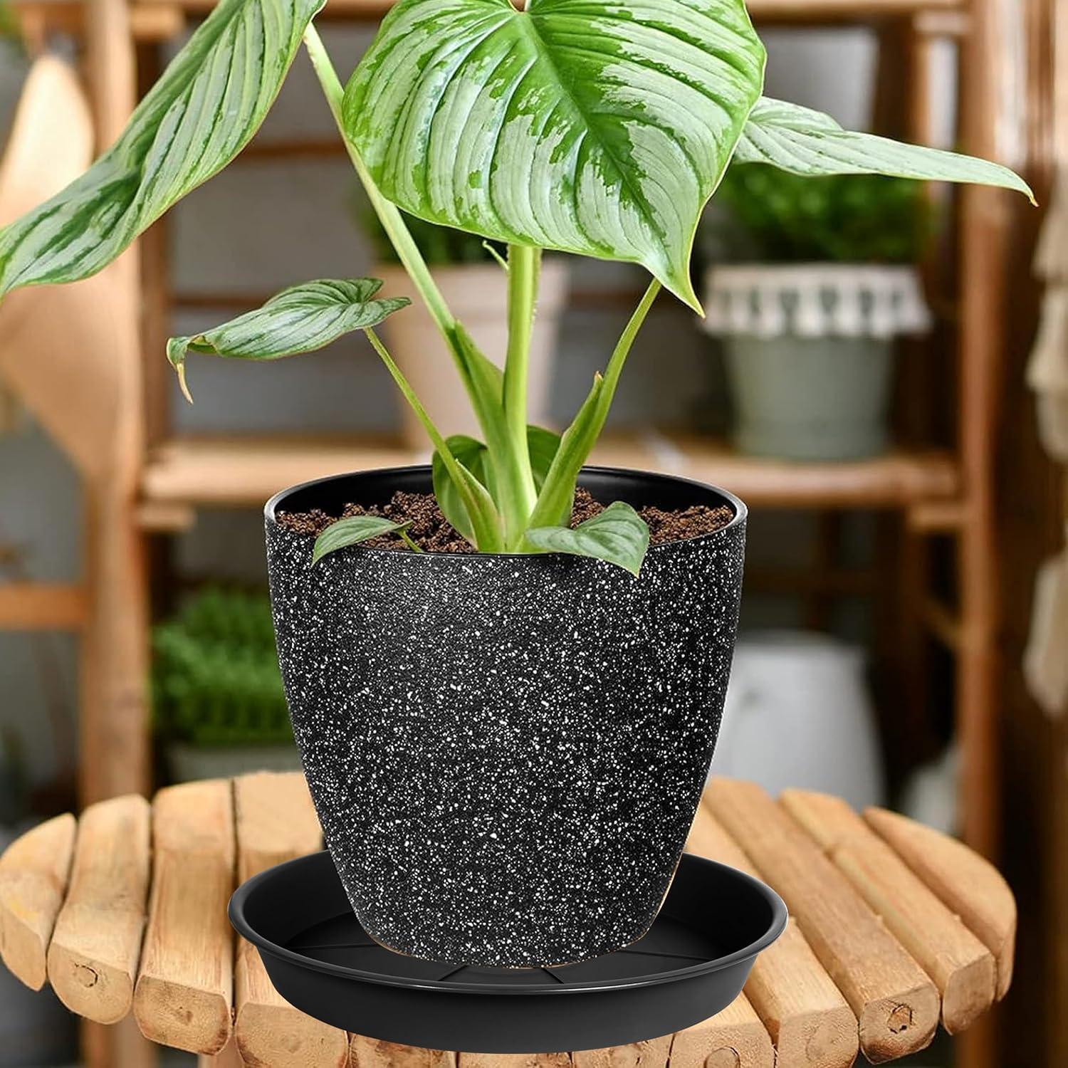 Paquete de 6 bandejas de goteo OVZILKI 10 cm negras