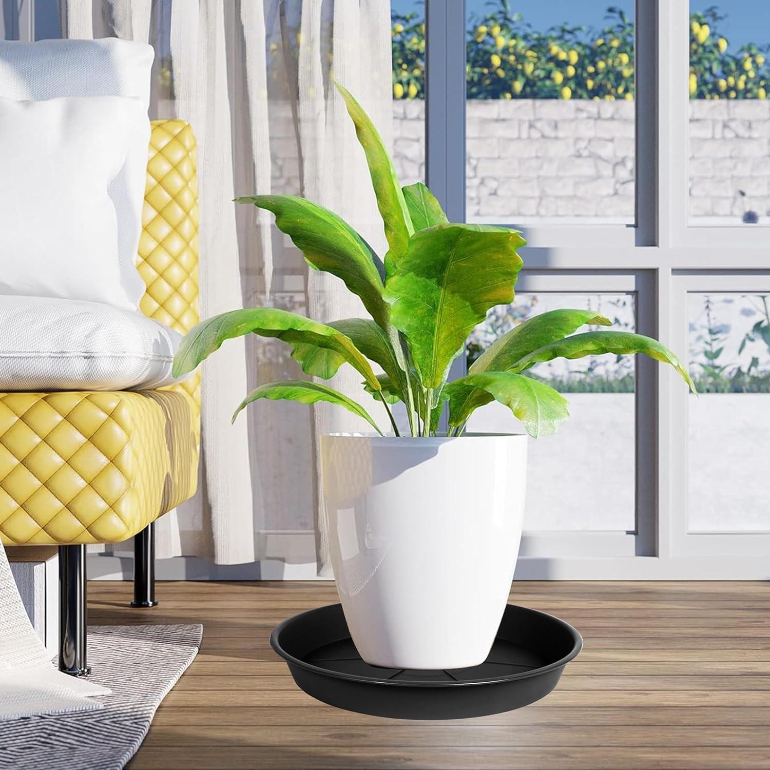 Paquete de 6 bandejas de goteo OVZILKI 10 cm negras