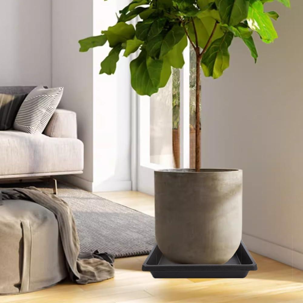 Plato Cuadrado para Plantas 15 cm - 4 Paquete - Negro