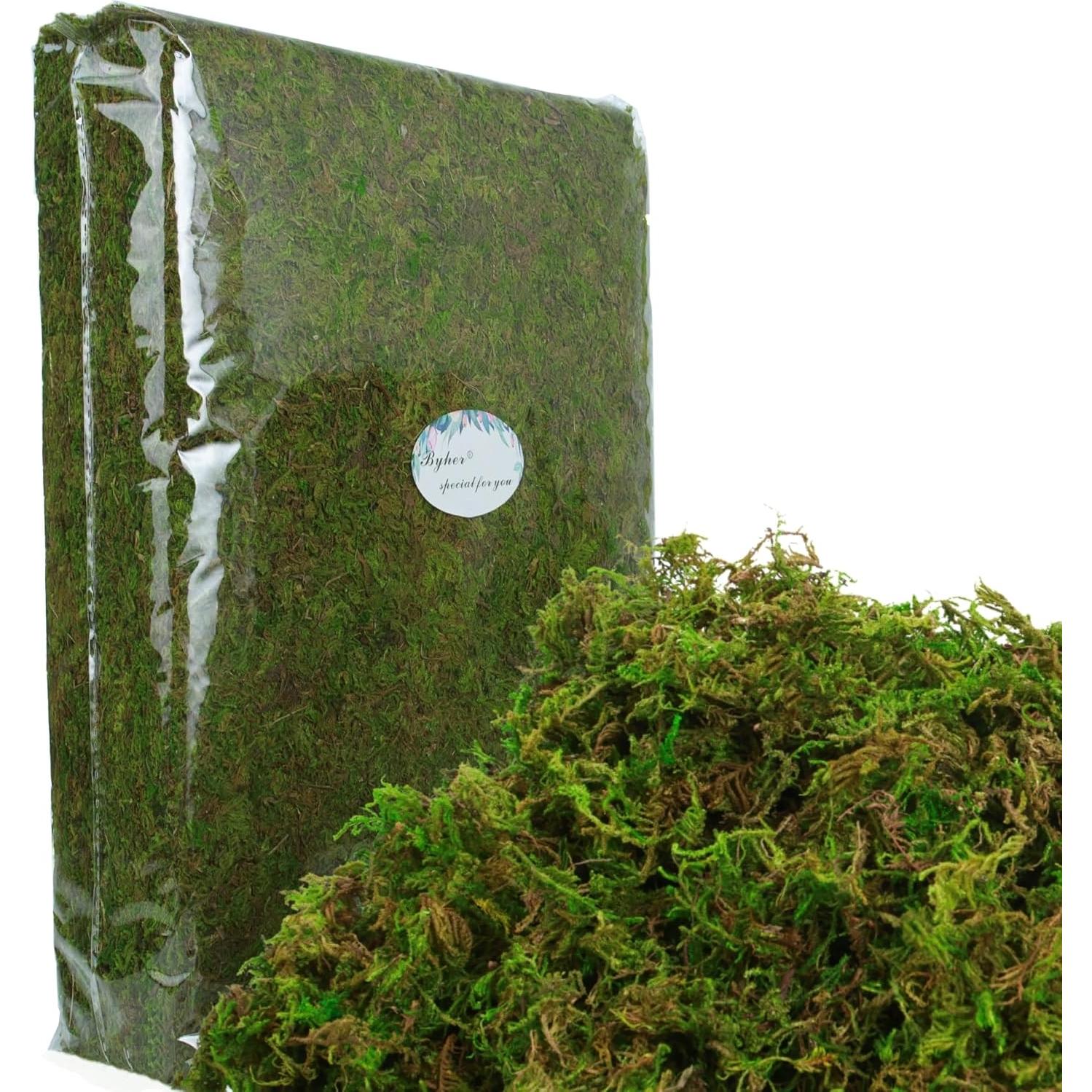 Musgo Artificial Verde BYHER 992g para Manualidades y Decoración