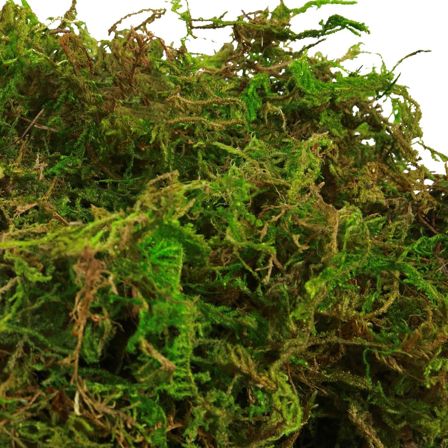 Musgo Artificial Verde BYHER 992g para Manualidades y Decoración