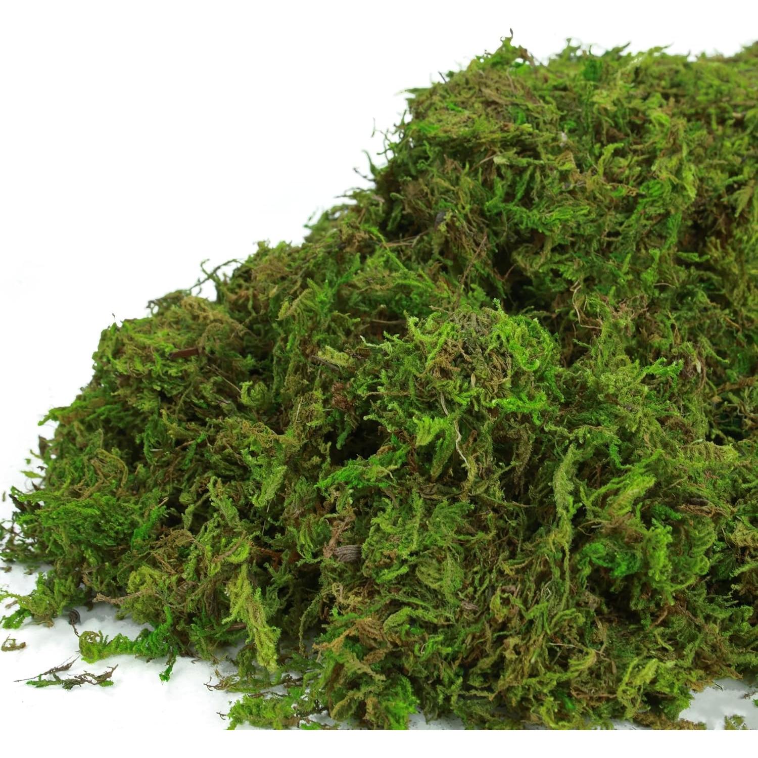 Musgo Artificial Verde BYHER 992g para Manualidades y Decoración