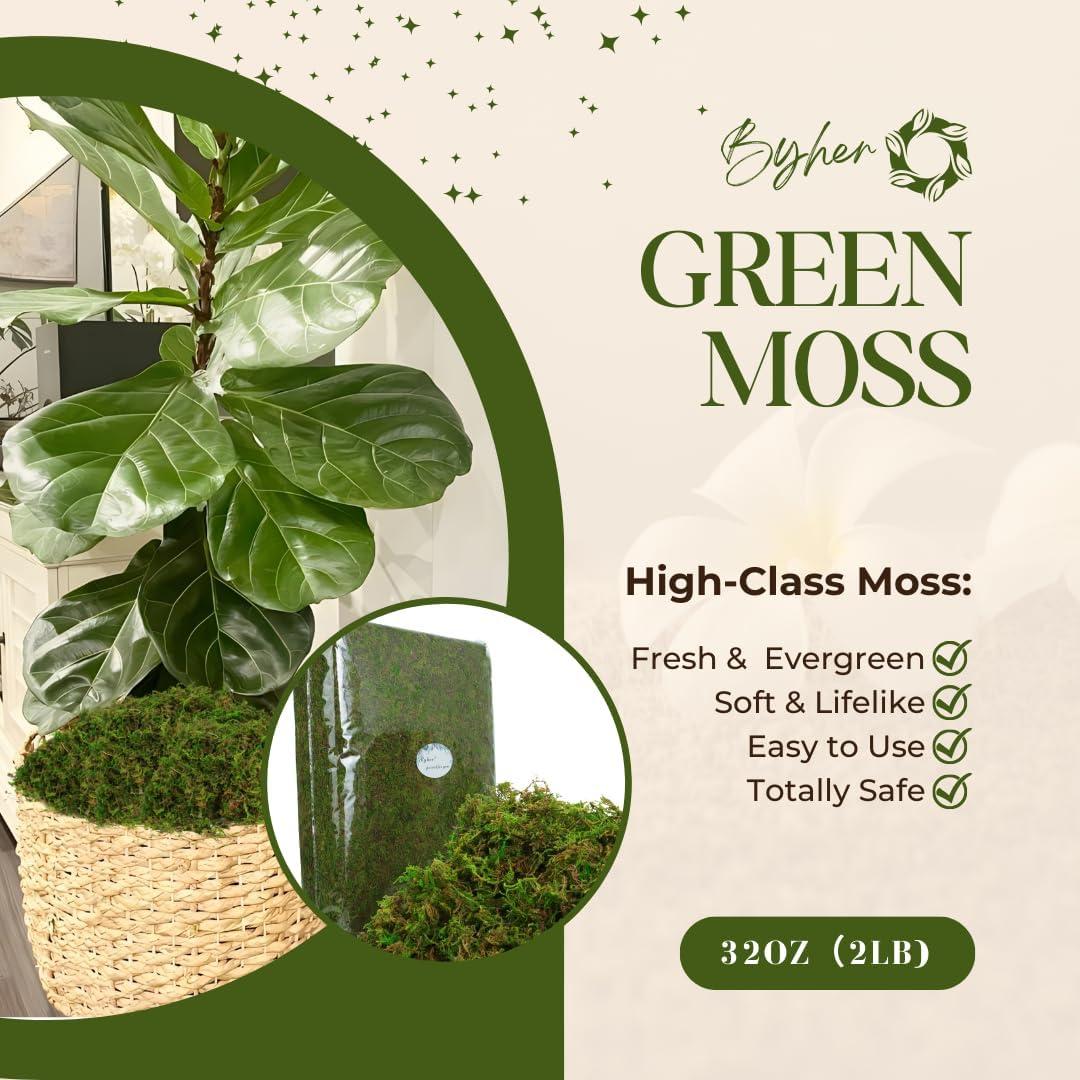 Musgo Artificial Verde BYHER 992g para Manualidades y Decoración