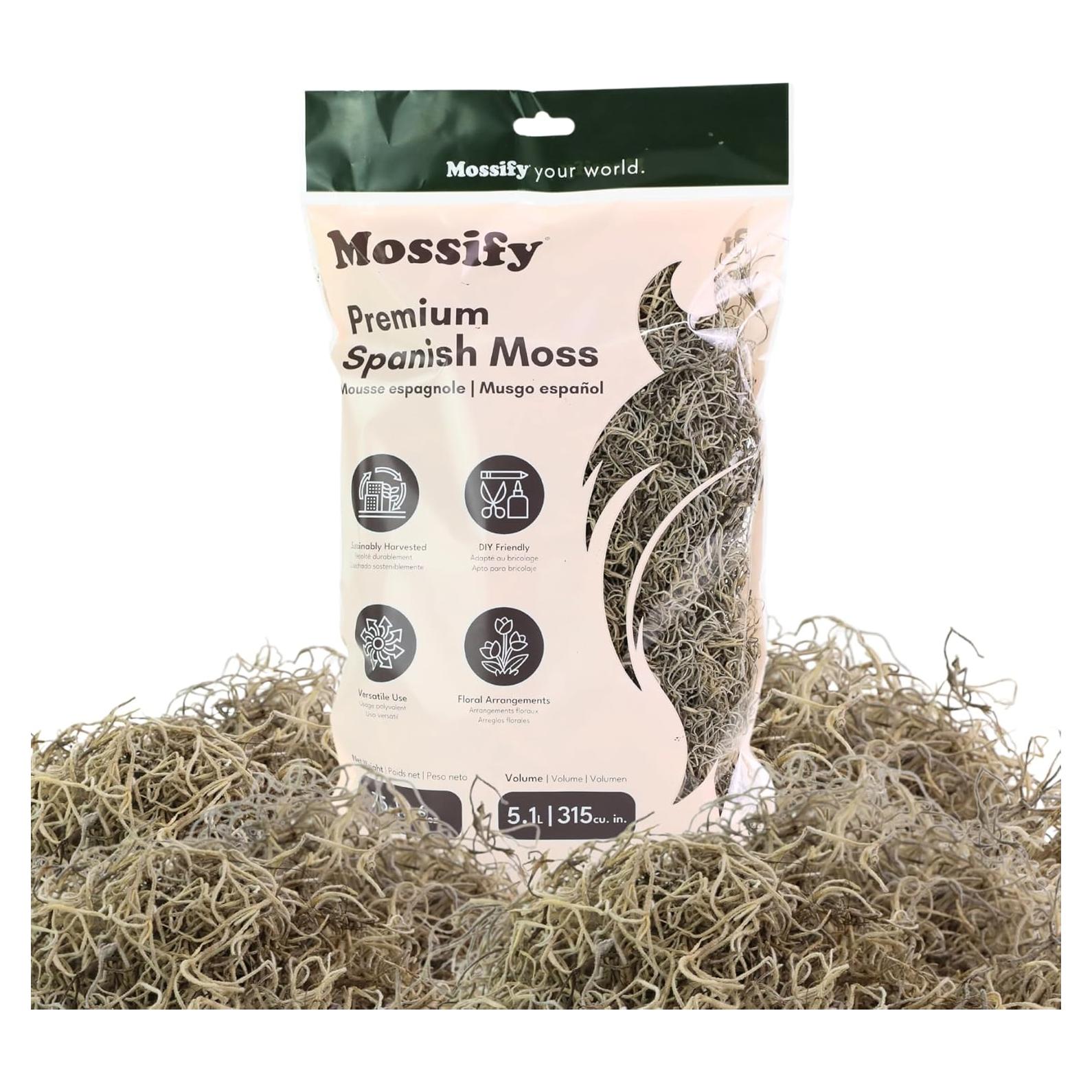 Musgo Español Natural Mossify 75g - Ideal para Jardinería y Manualidades