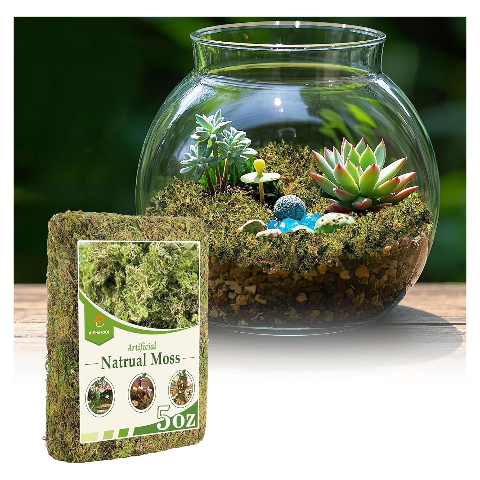 Musgo Verde Natural Alphatool 142 g para Manualidades y Decoración