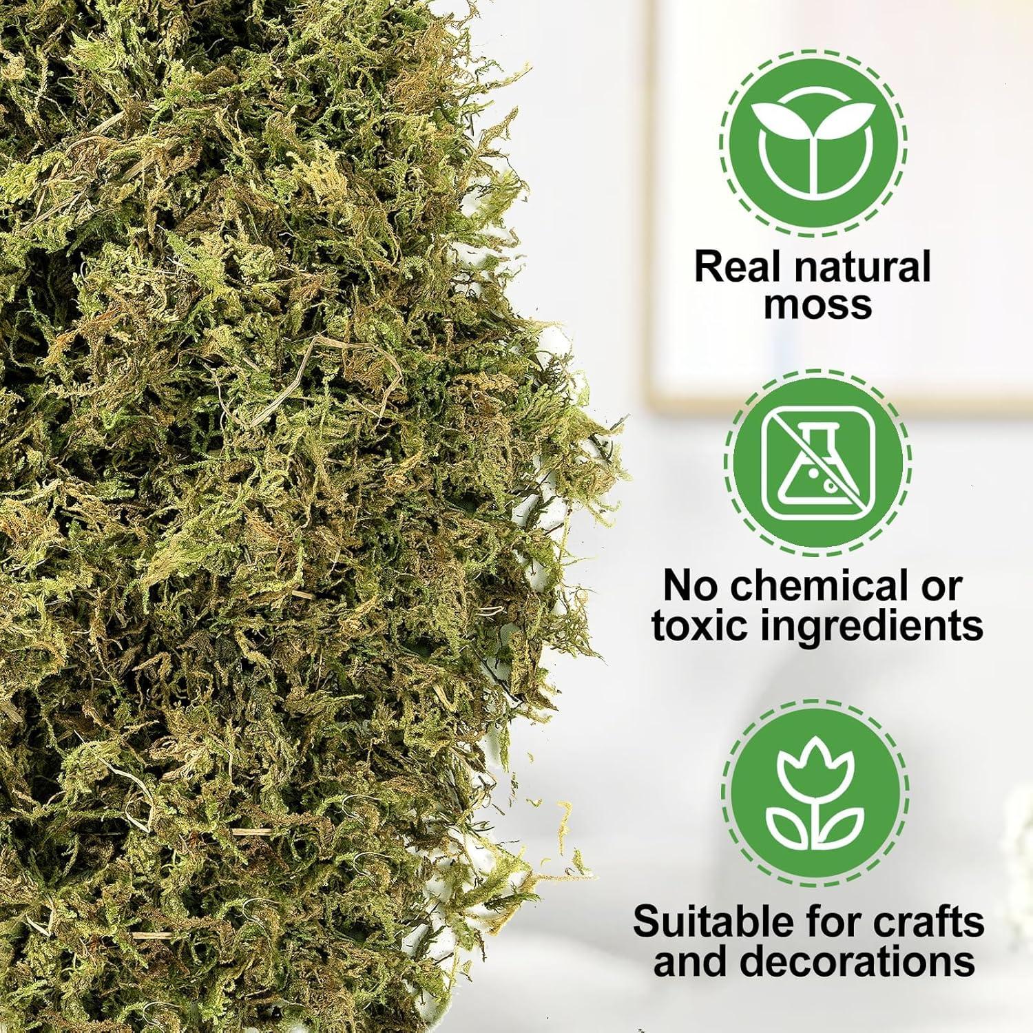 Musgo Verde Natural Alphatool 142 g para Manualidades y Decoración
