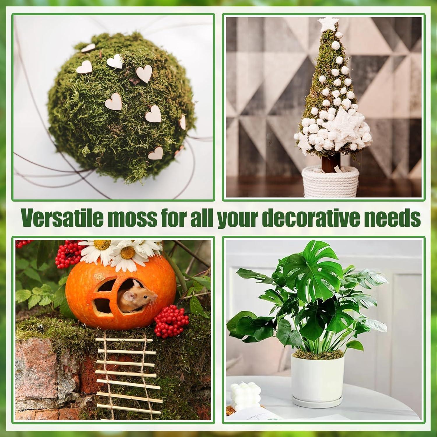 Musgo Verde Natural Alphatool 142 g para Manualidades y Decoración