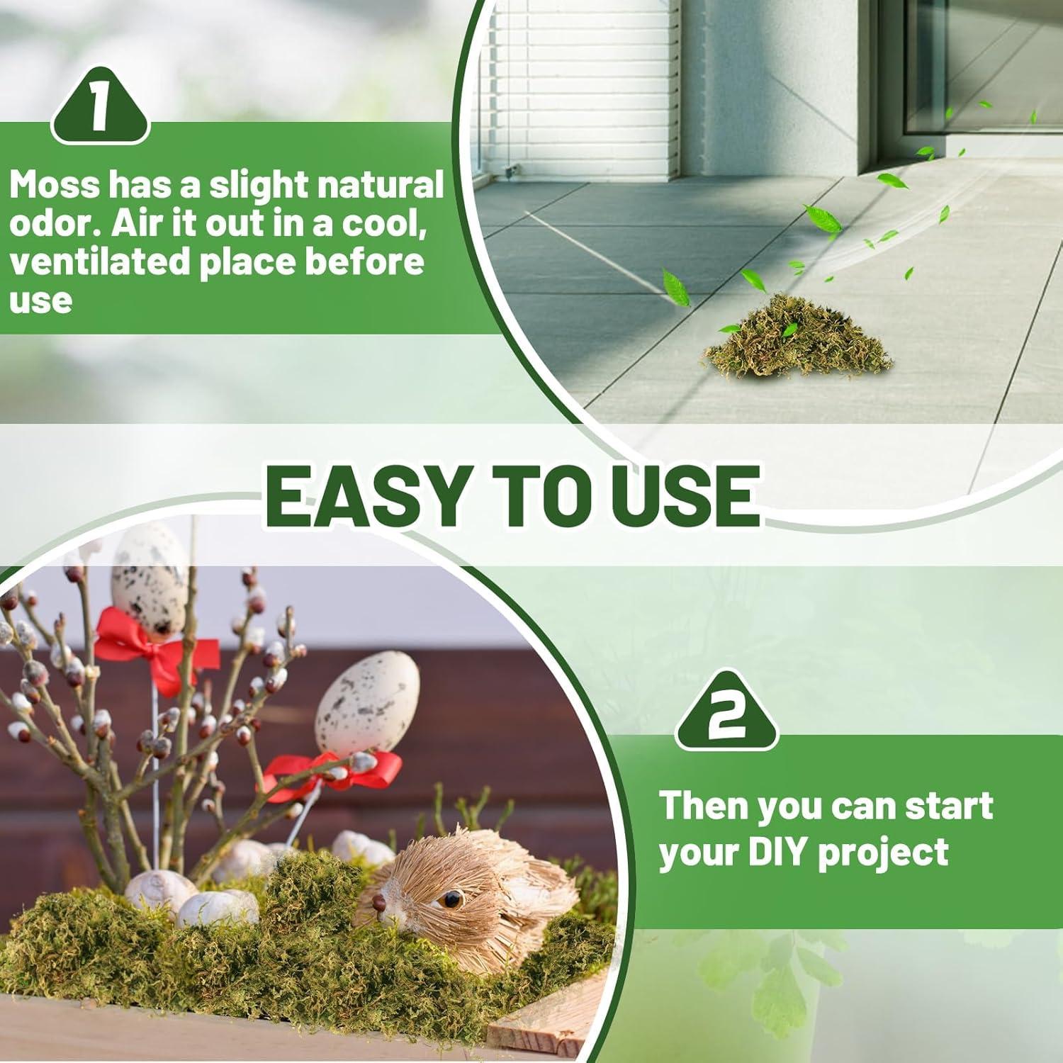 Musgo Verde Natural Alphatool 142 g para Manualidades y Decoración